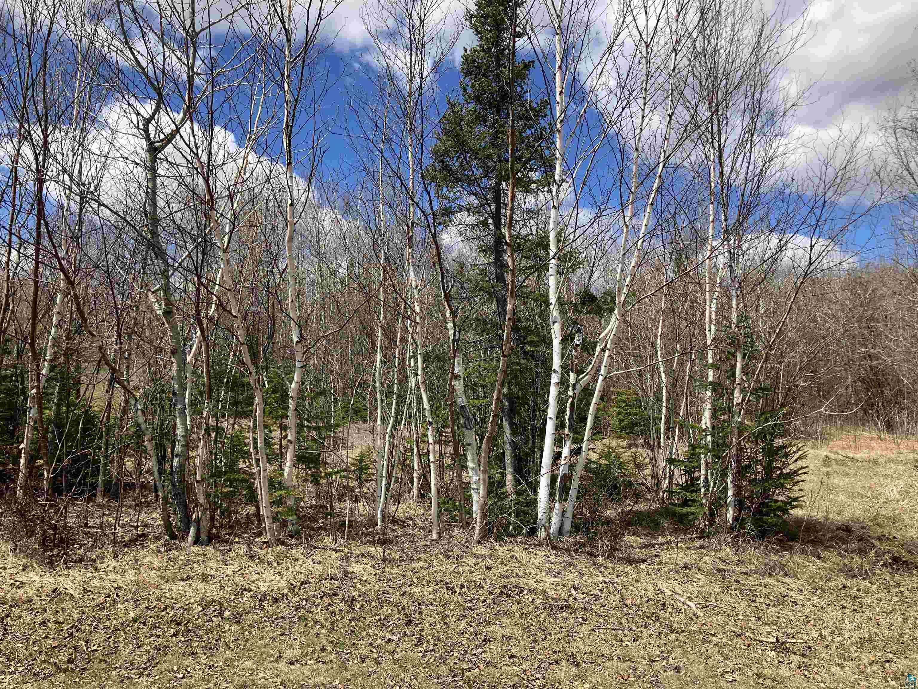 xx Quincy Dr Silver Bay MN 55614 6125195 image12