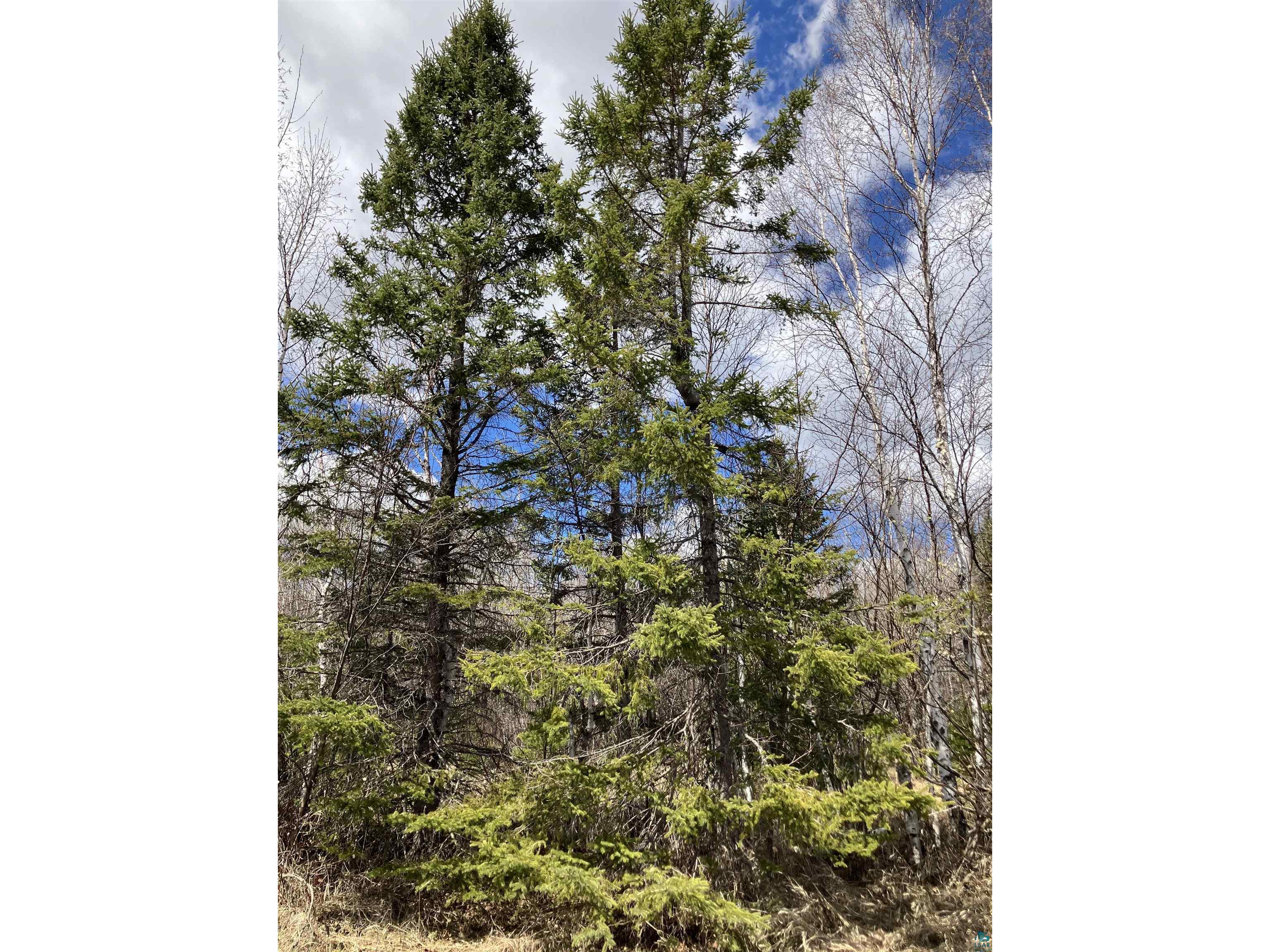 xx Quincy Dr Silver Bay MN 55614 6125195 image13