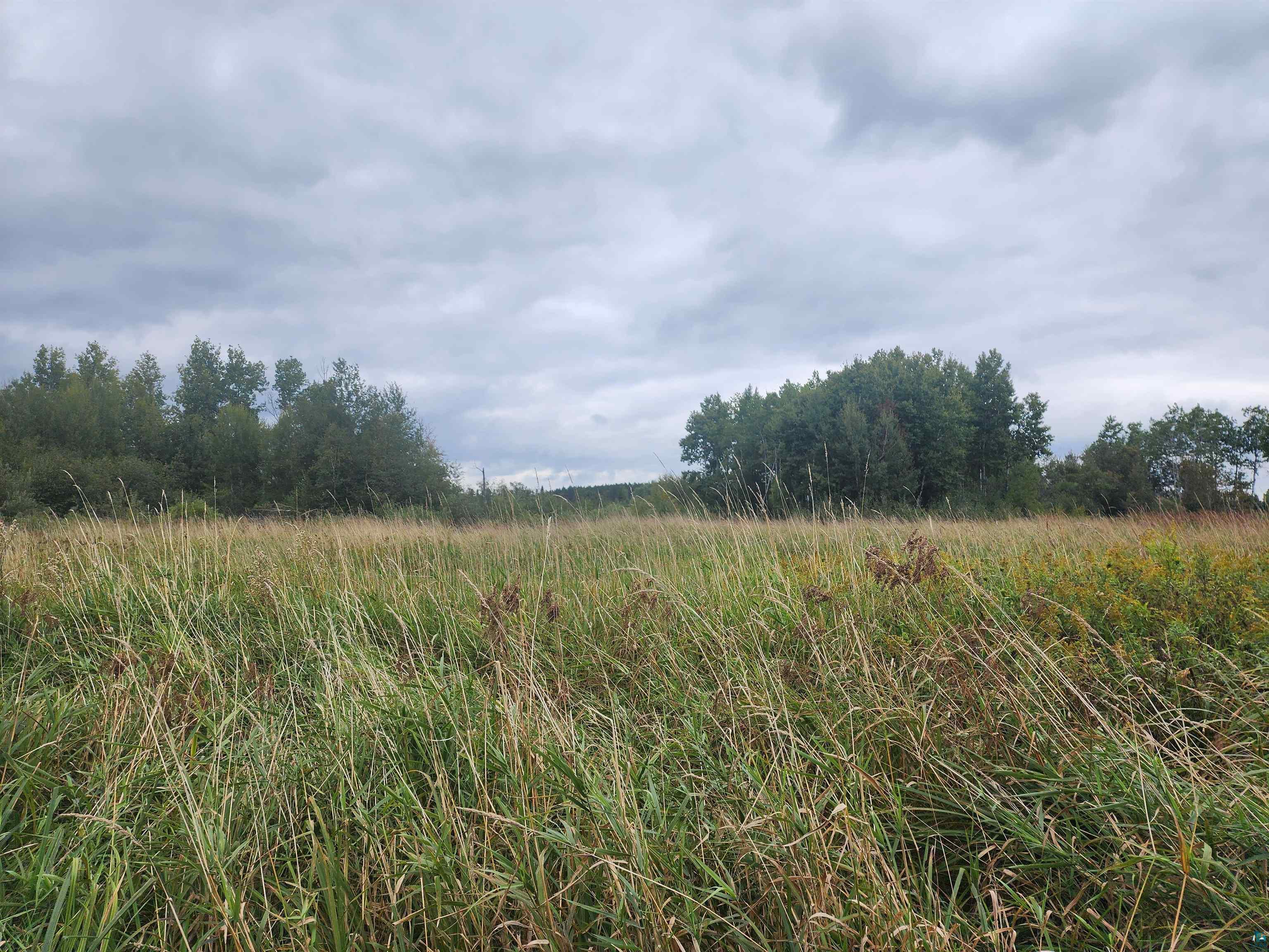 xx Stillmeadow Rd Esko MN 55733 6110822 image1