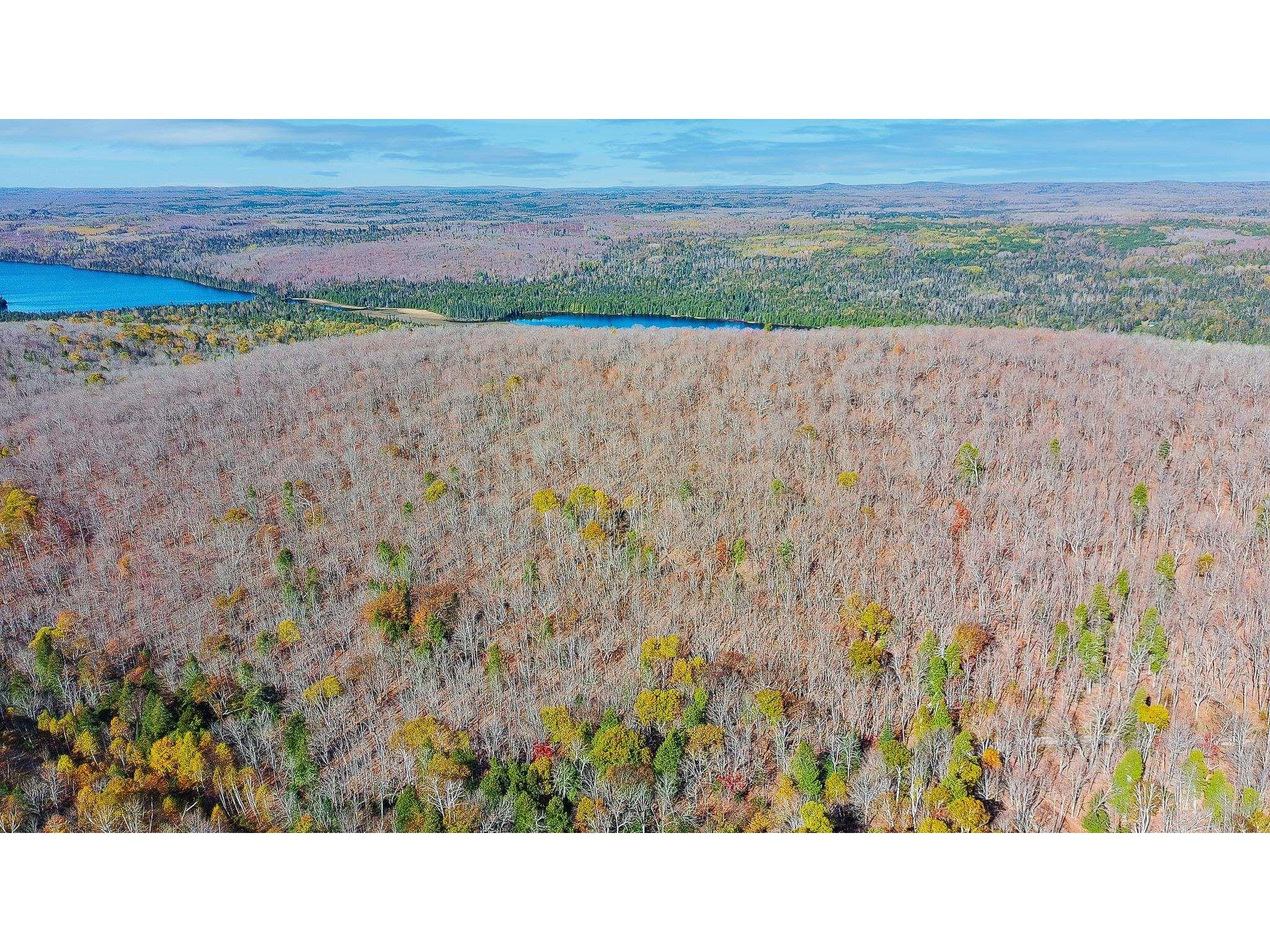 xx W Deeryard Lake Rd Lutsen MN 55612 6122432 image4