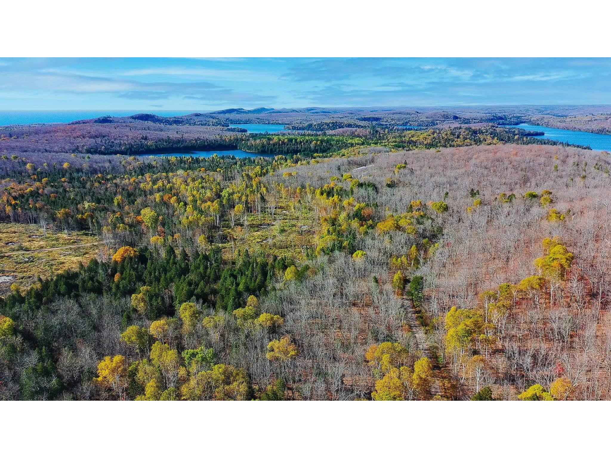 xx W Deeryard Lake Rd Lutsen MN 55612 6122432 image5