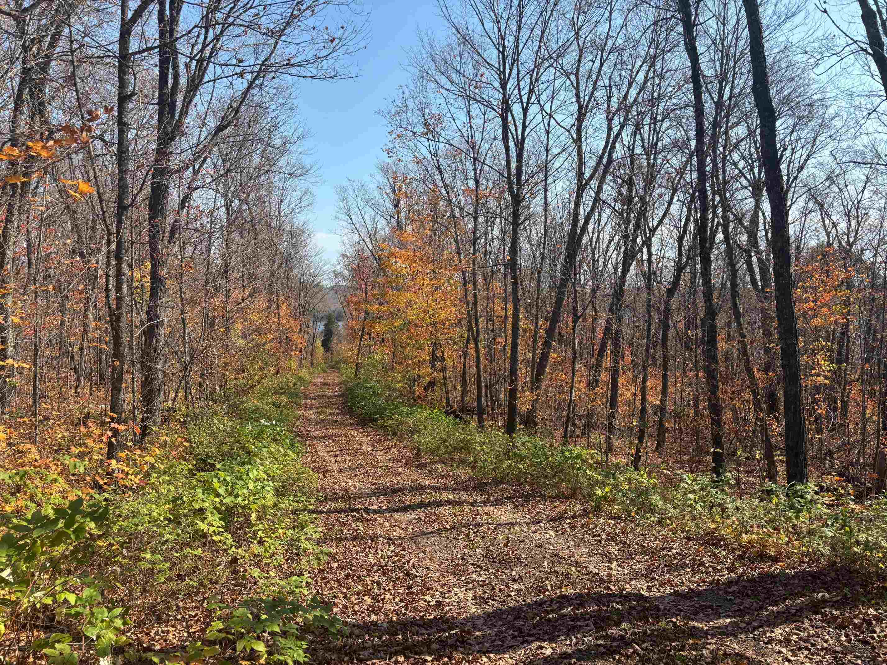 xx W Deeryard Lake Rd Lutsen MN 55612 6122432 image9