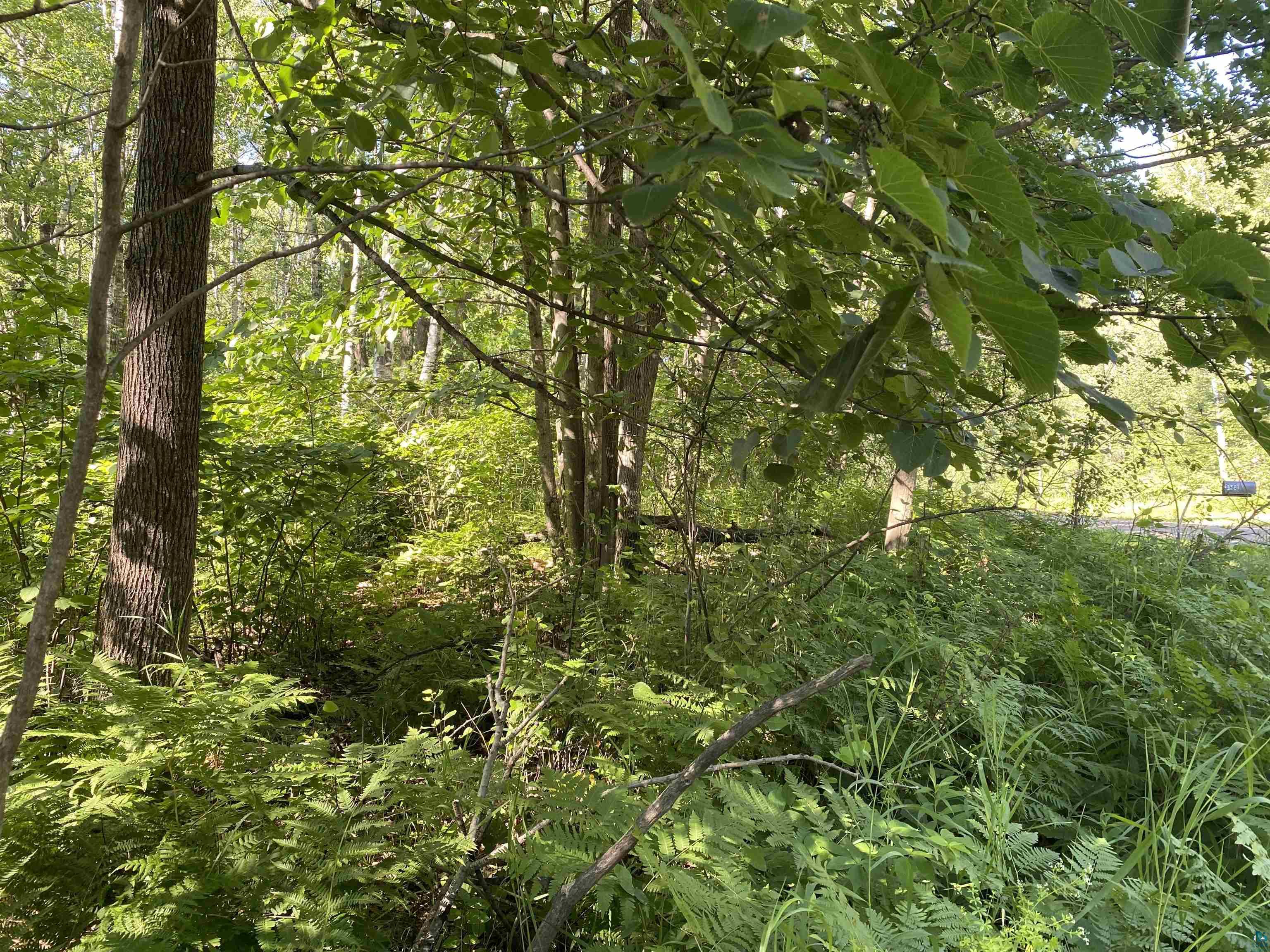 xx4 Bent Trout Lake Rd Barnum MN 55707 6106646 image1