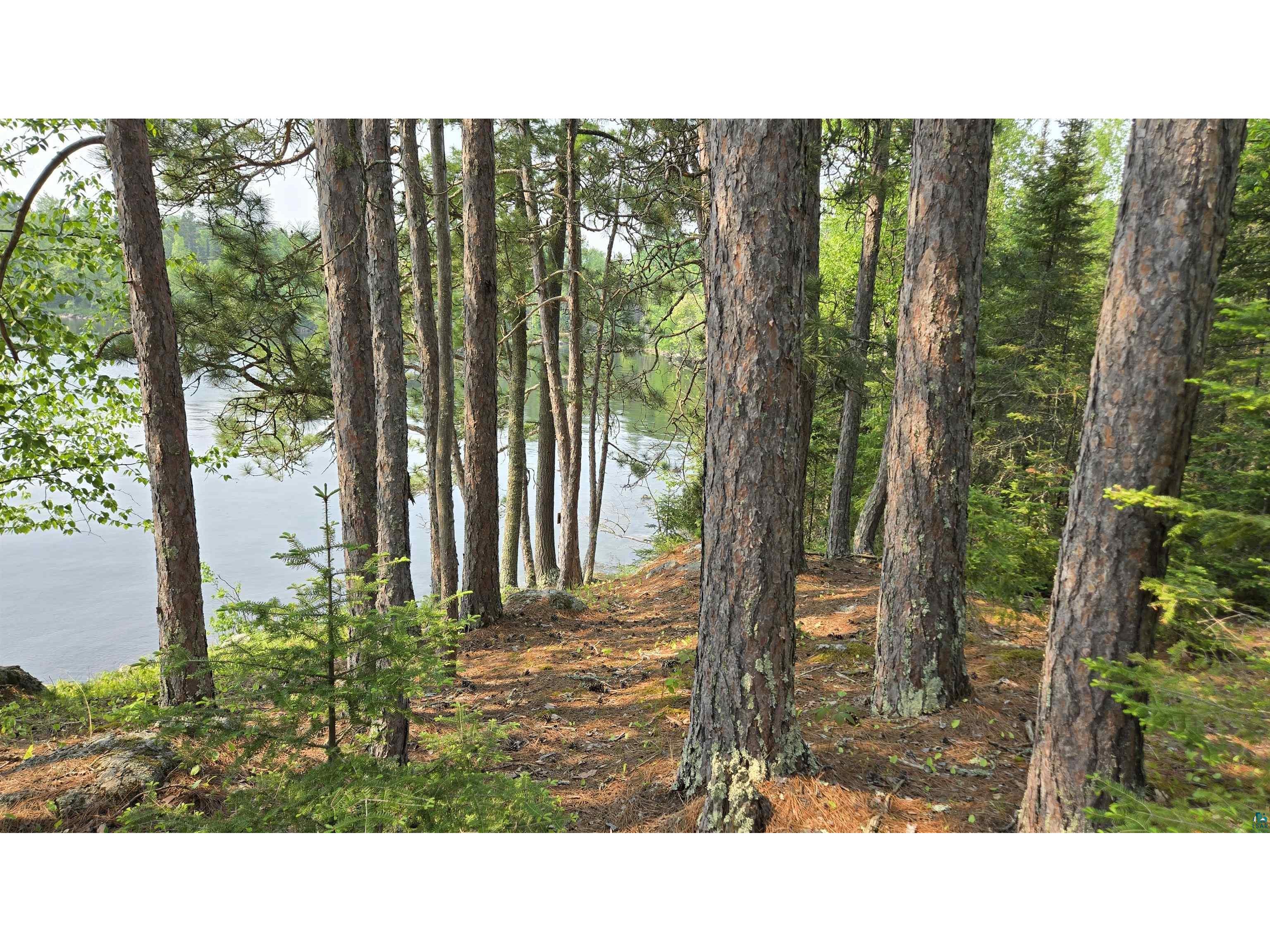 xxx 11.82 Bessette Rd Orr MN 55771 - Pelican 6119775 image22