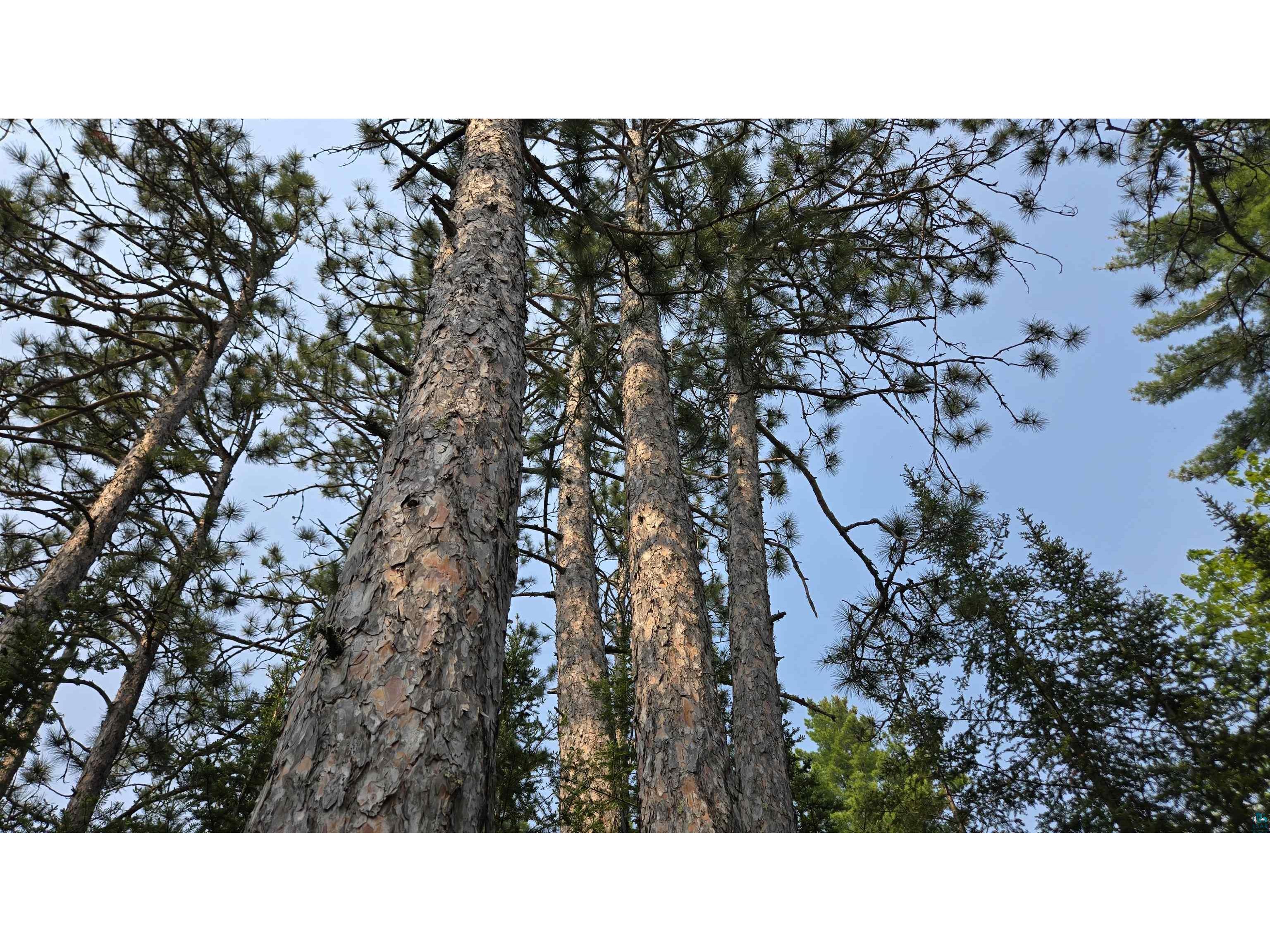 xxx 11.82 Bessette Rd Orr MN 55771 - Pelican 6119775 image8