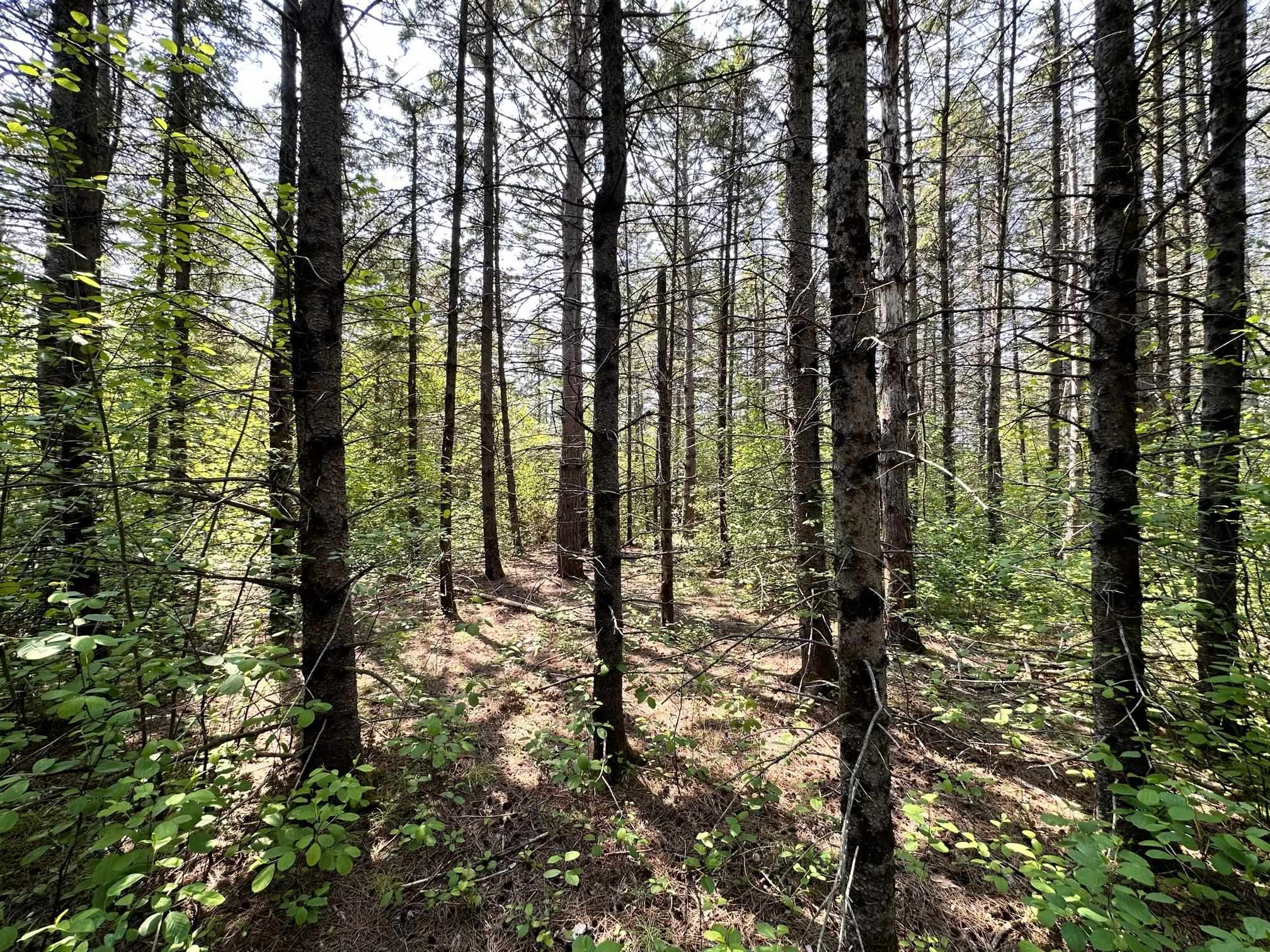 xxx 17th Ave E Ashland WI 54806 6118134 image1