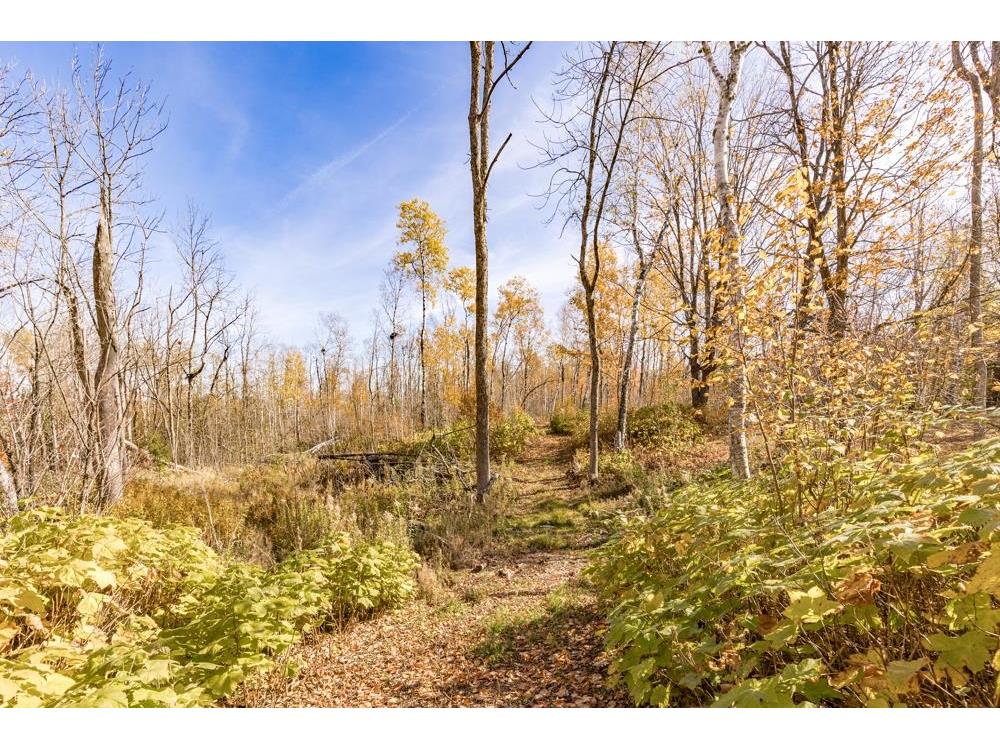 xxx Amity Drive Duluth MN 55803 6117791 image23