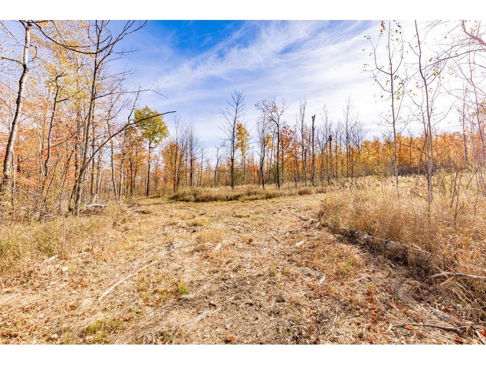 xxx Amity Drive Duluth MN 55803 6117791 image27