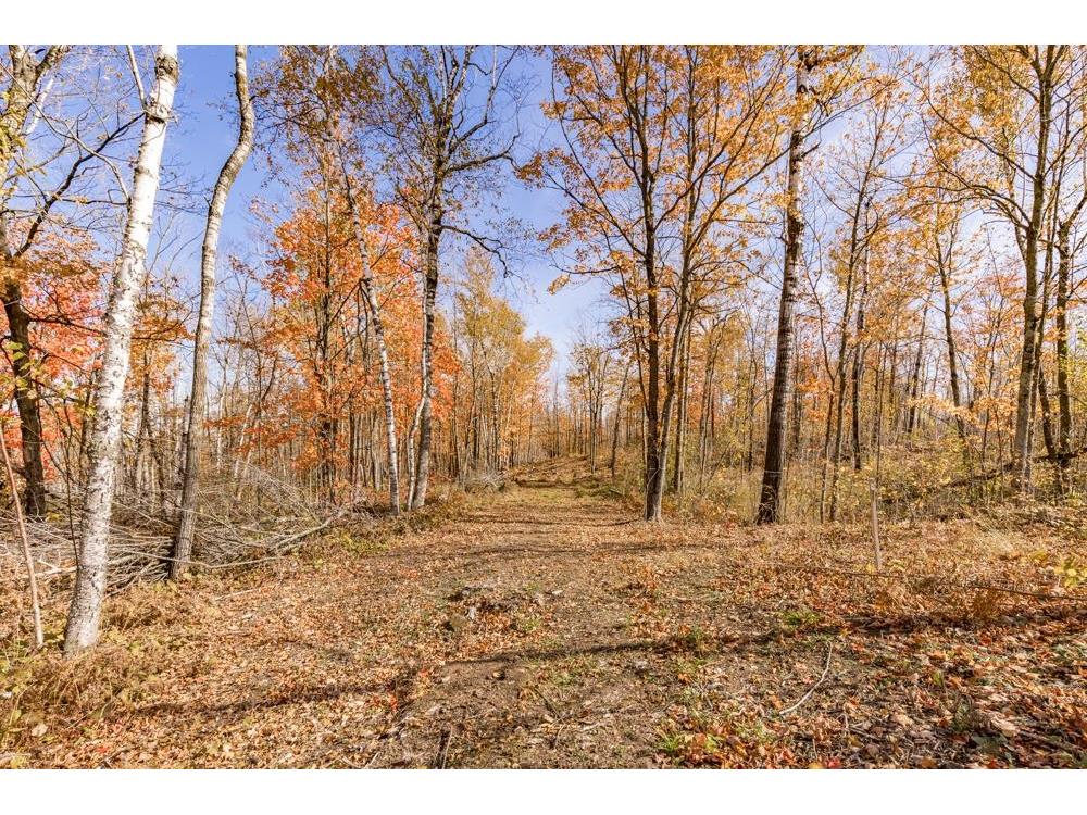 xxx Amity Drive Duluth MN 55803 6117791 image29