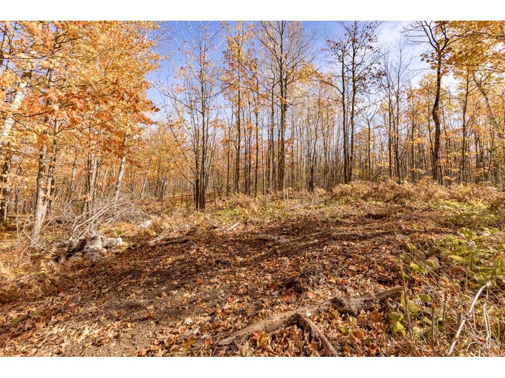 xxx Amity Drive Duluth MN 55803 6117791 image30