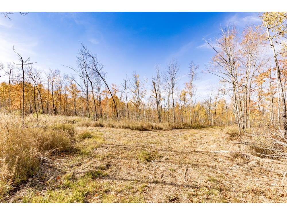 xxx Amity Drive Duluth MN 55803 6117791 image32