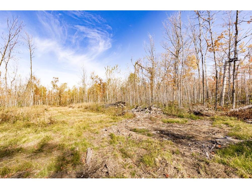 xxx Amity Drive Duluth MN 55803 6117791 image33