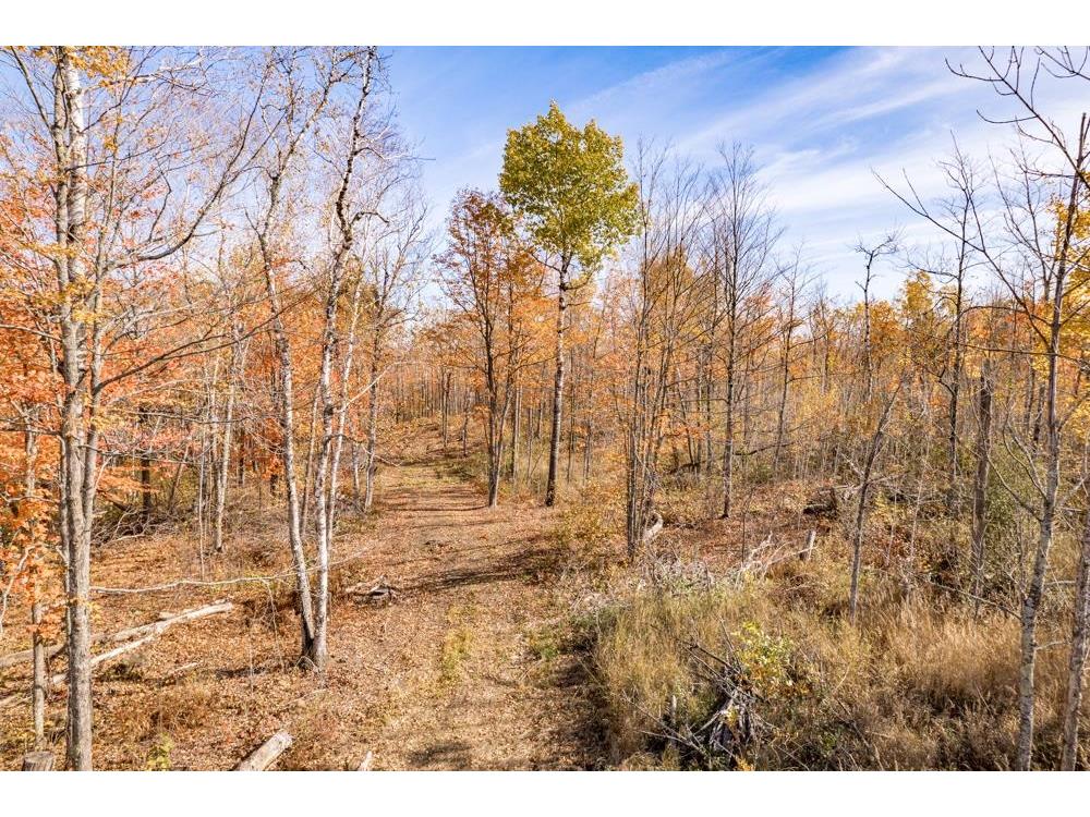 xxx Amity Drive Duluth MN 55803 6117791 image4