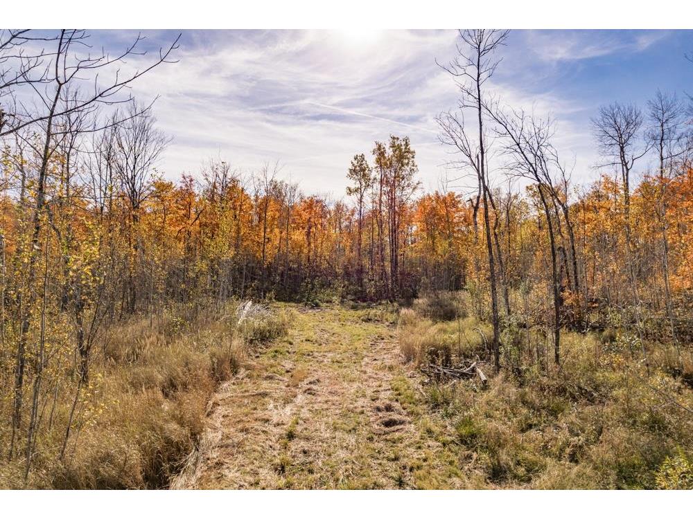 xxx Amity Drive Duluth MN 55803 6117791 image9