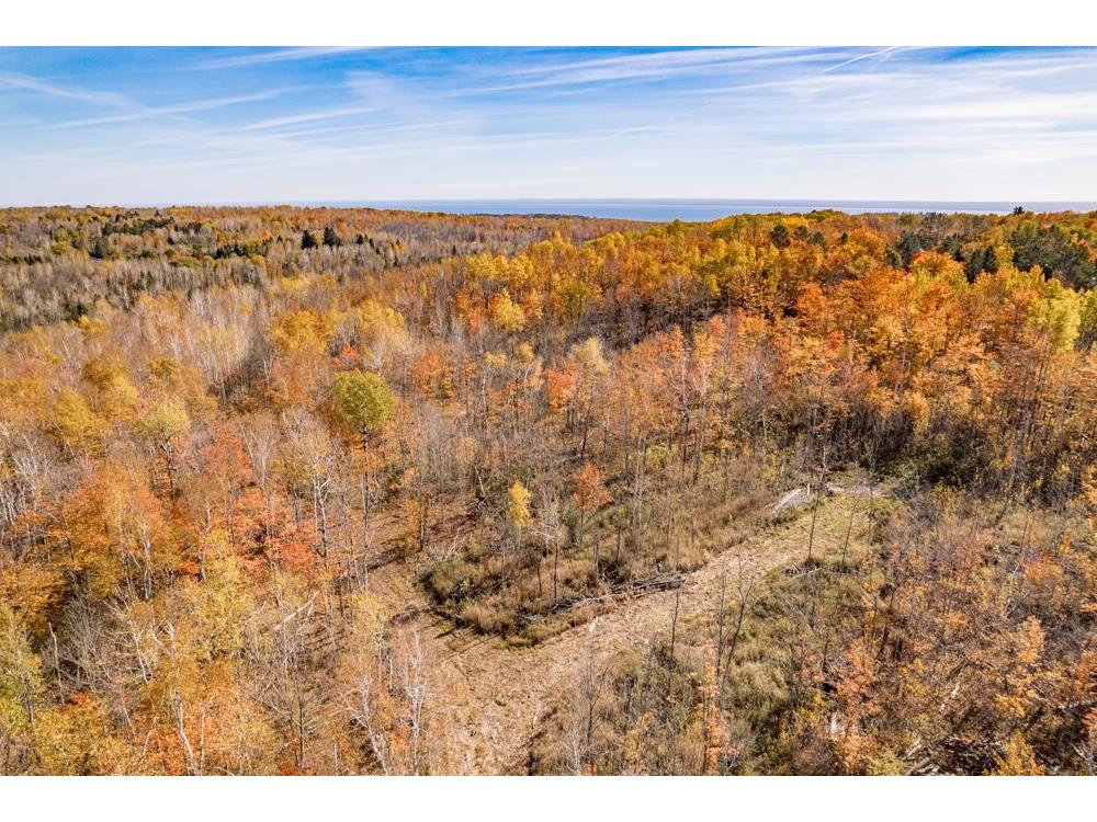 xxx Amity Drive Duluth MN 55803 6123647 image13