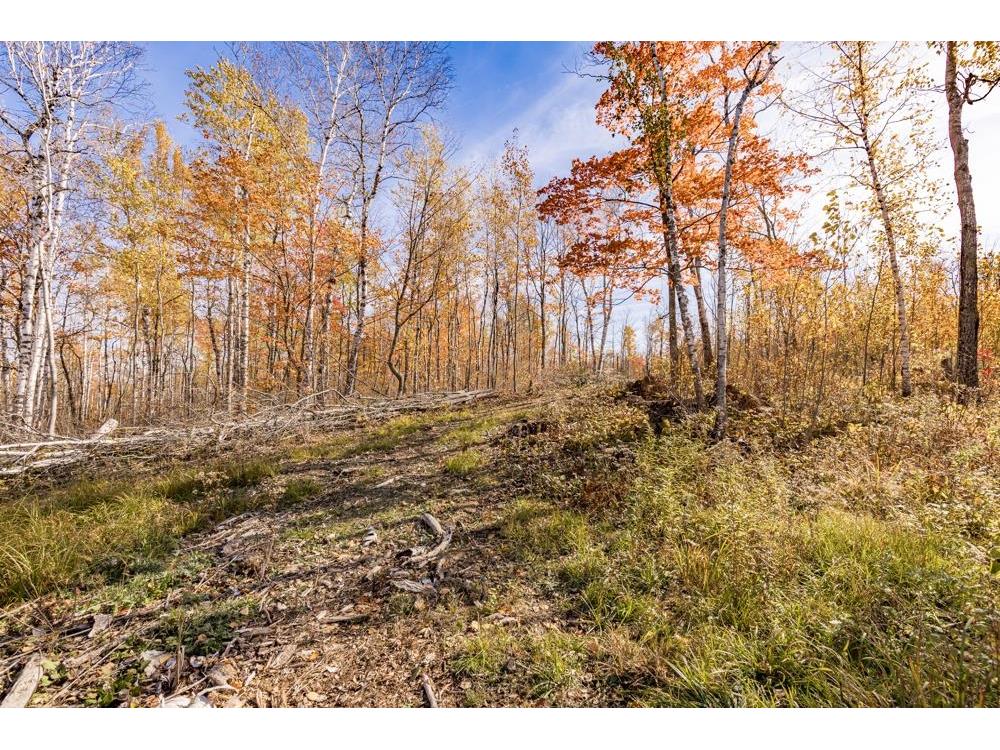 xxx Amity Drive Duluth MN 55803 6123647 image25