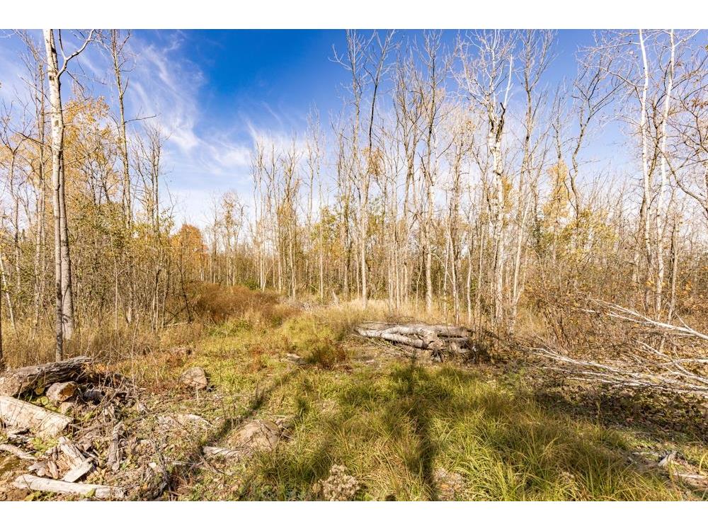 xxx Amity Drive Duluth MN 55803 6123647 image26