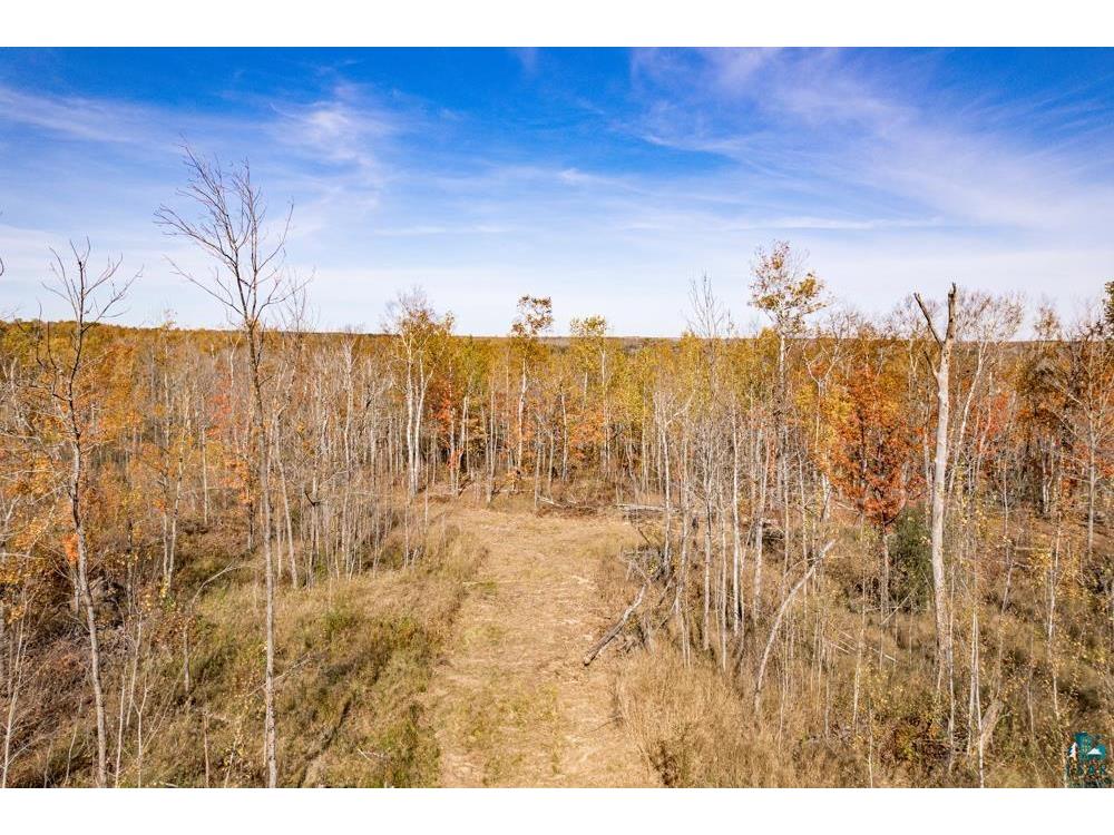 xxx Amity Drive Duluth MN 55803 6123648 image10
