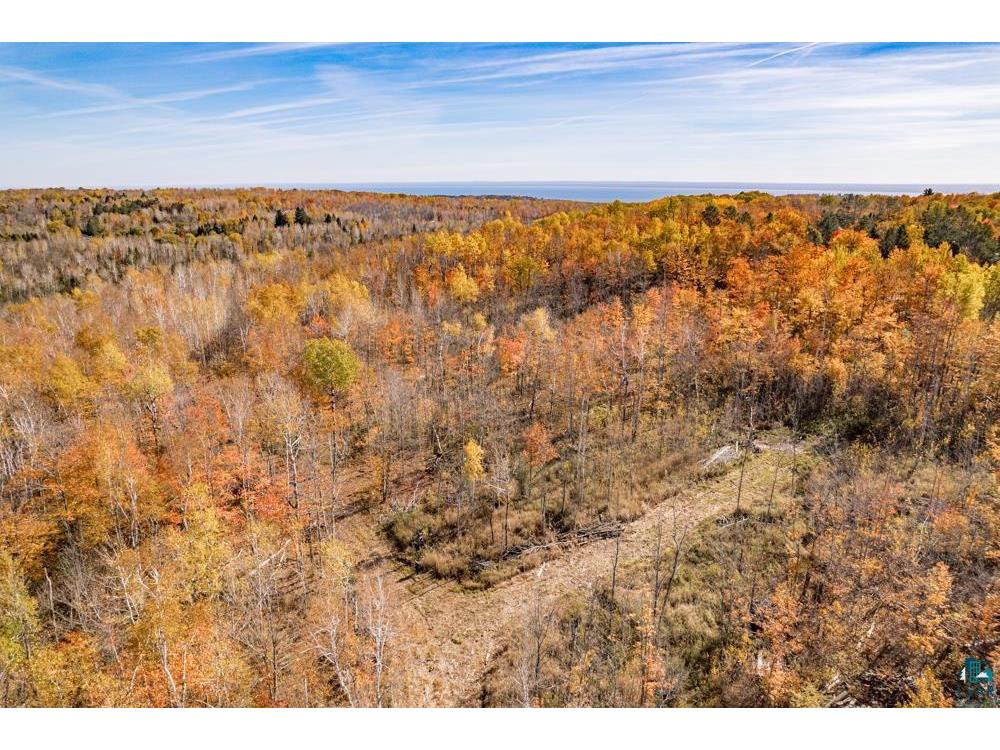 xxx Amity Drive Duluth MN 55803 6123648 image13