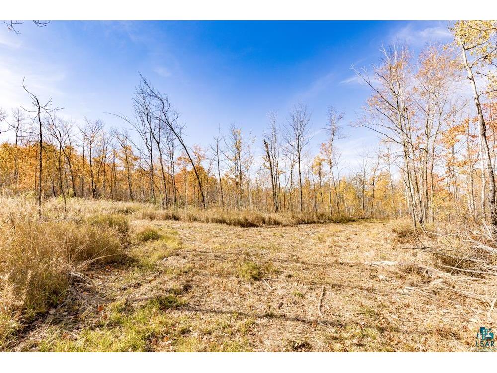 xxx Amity Drive Duluth MN 55803 6123648 image32