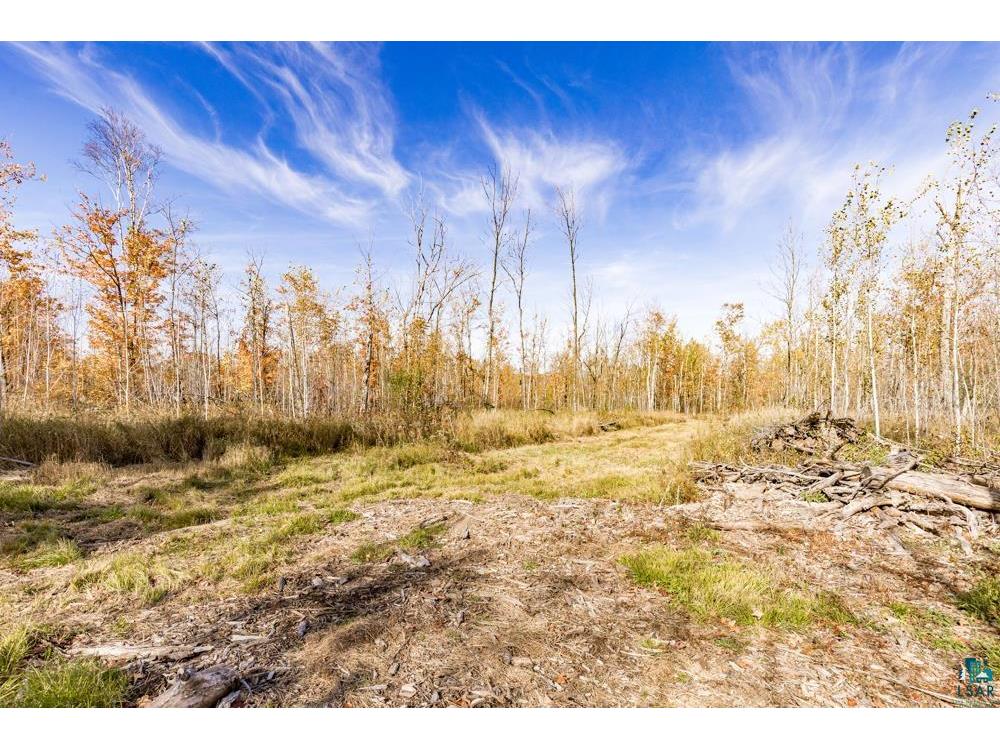xxx Amity Drive Duluth MN 55803 6123648 image34