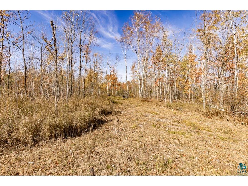 xxx Amity Drive Duluth MN 55803 6123648 image35