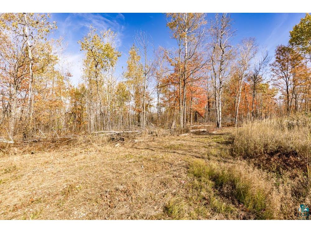 xxx Amity Drive Duluth MN 55803 6123648 image36