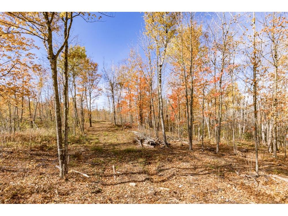xxx Amity Drive Duluth MN 55803 6123649 image31