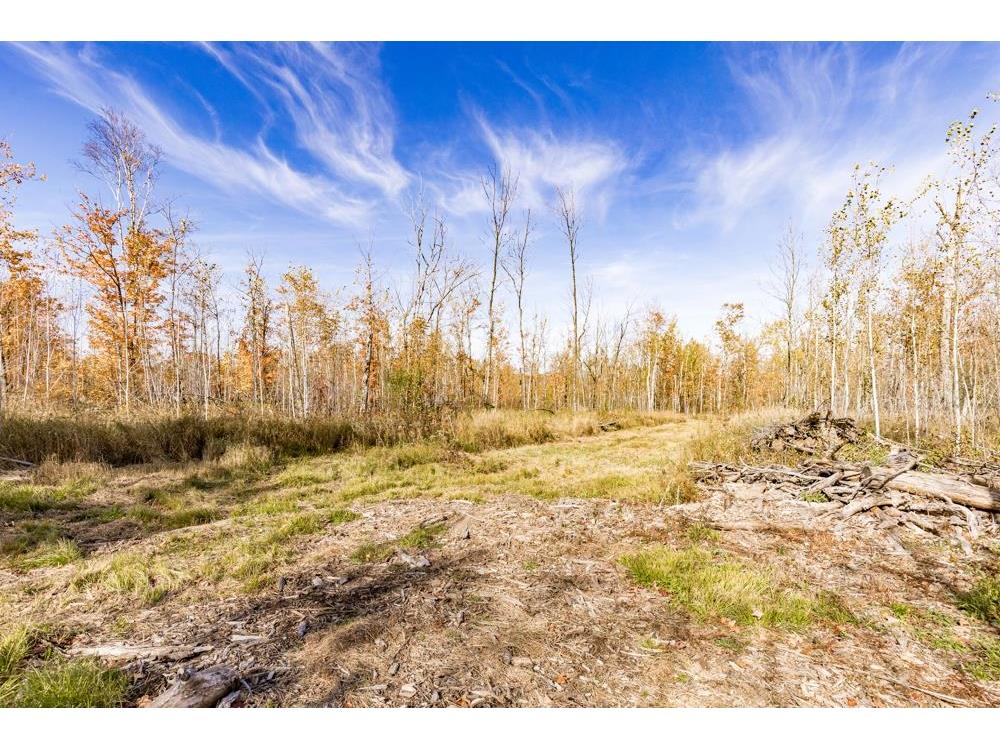 xxx Amity Drive Duluth MN 55803 6123649 image34