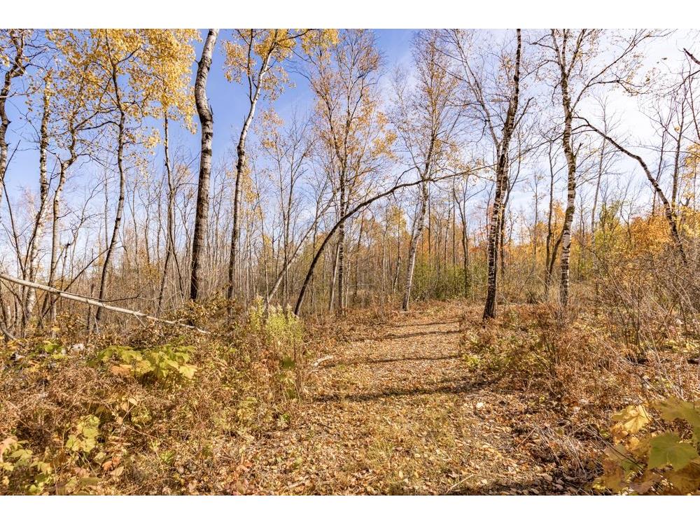 xxx Amity Drive Duluth MN 55803 6123650 image24