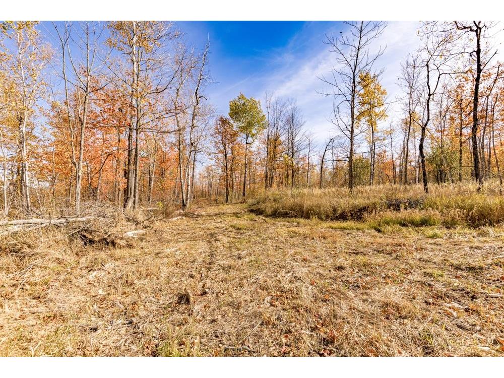 xxx Amity Drive Duluth MN 55803 6123650 image28