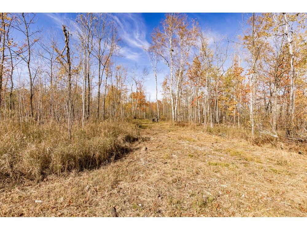 xxx Amity Drive Duluth MN 55803 6123650 image35