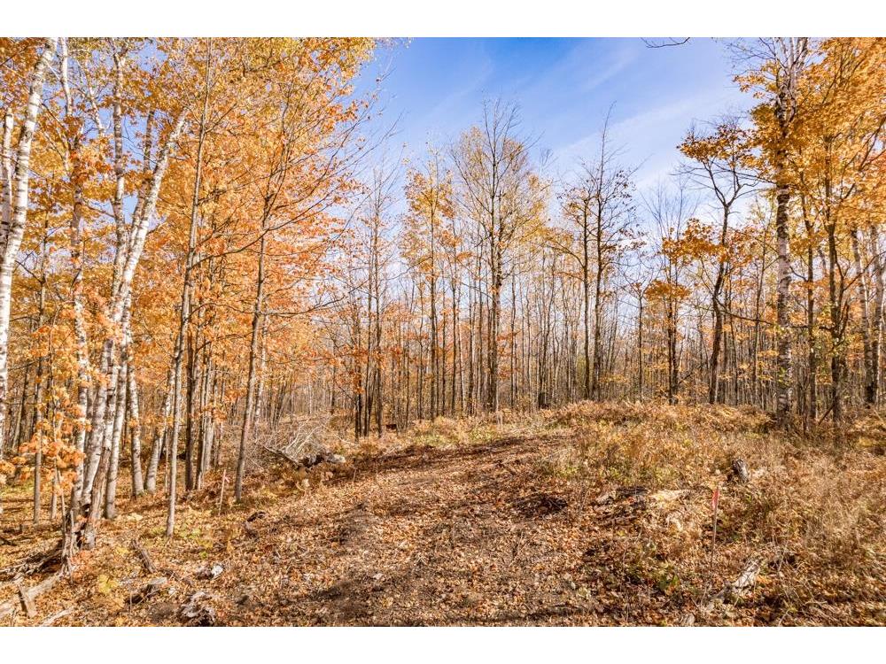 xxx Amity Drive Duluth MN 55803 6123650 image5