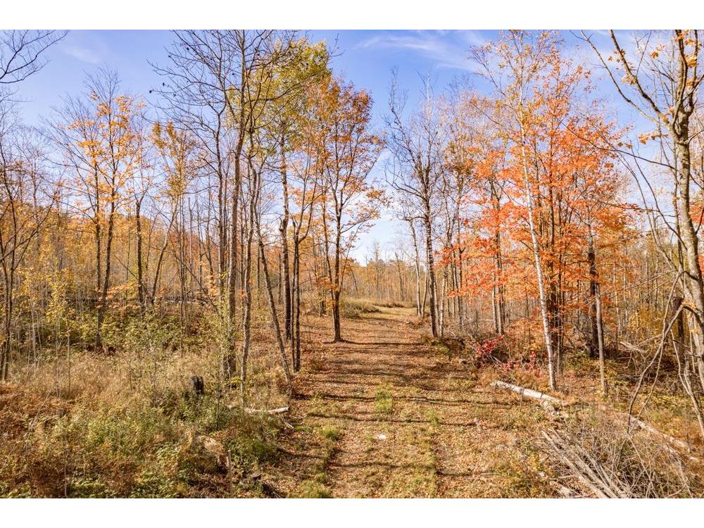 xxx Amity Drive Duluth MN 55803 6123650 image6