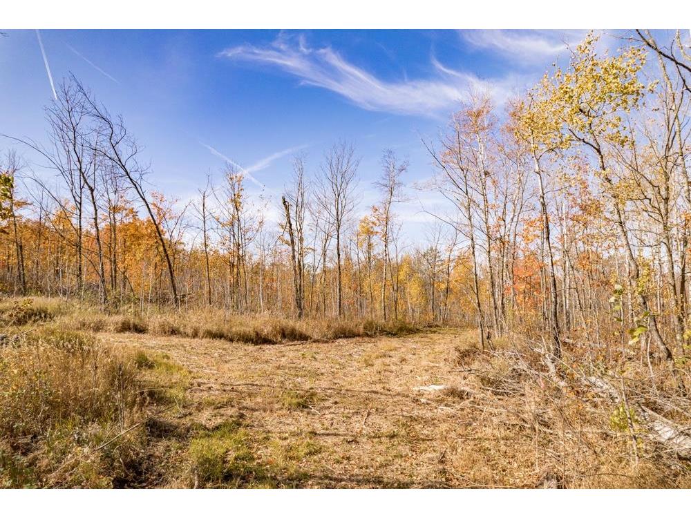 xxx Amity Drive Duluth MN 55803 6123650 image7