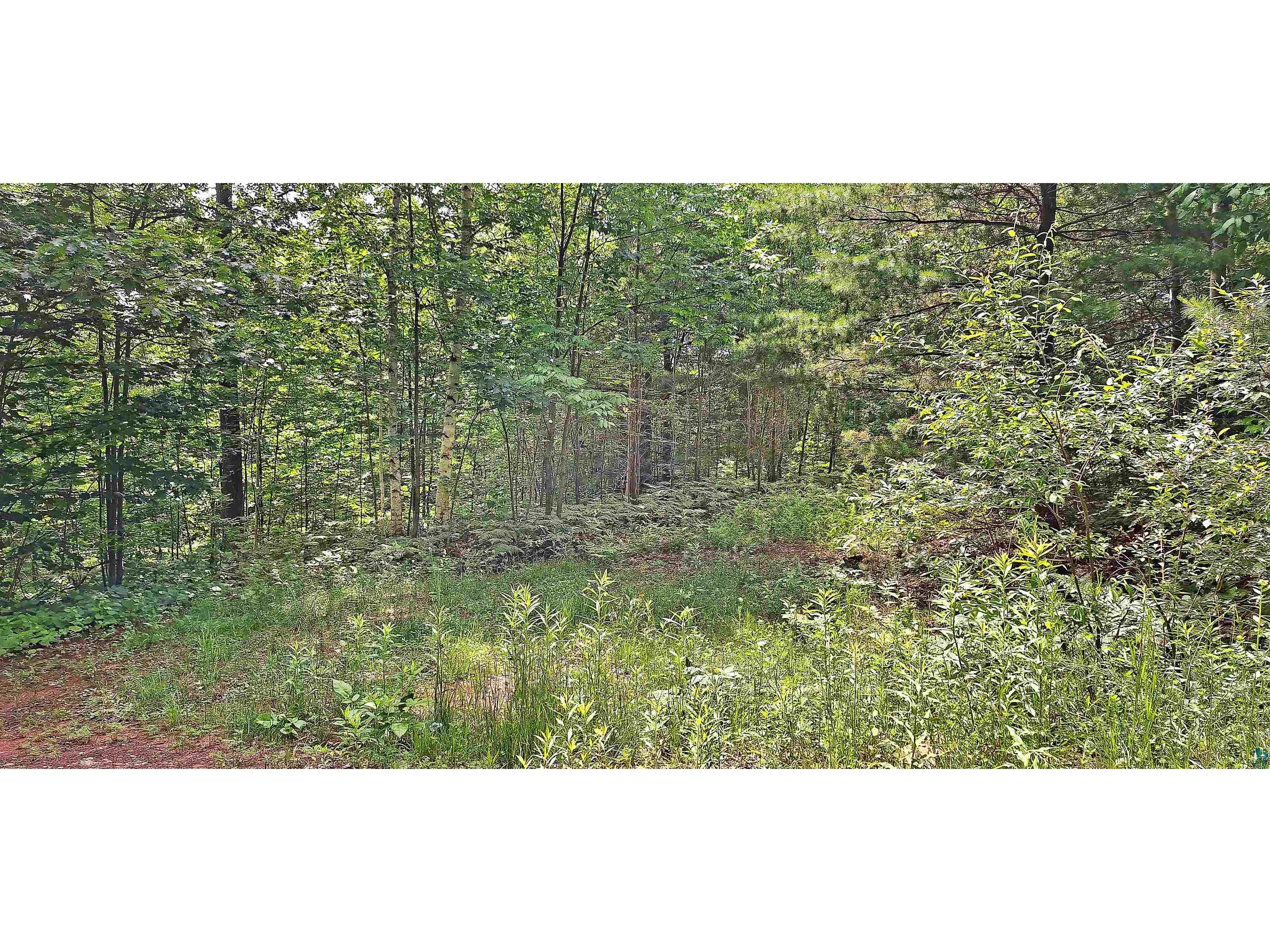xxx Apple Hill Rd Bayfield WI 54814 6124605 image13