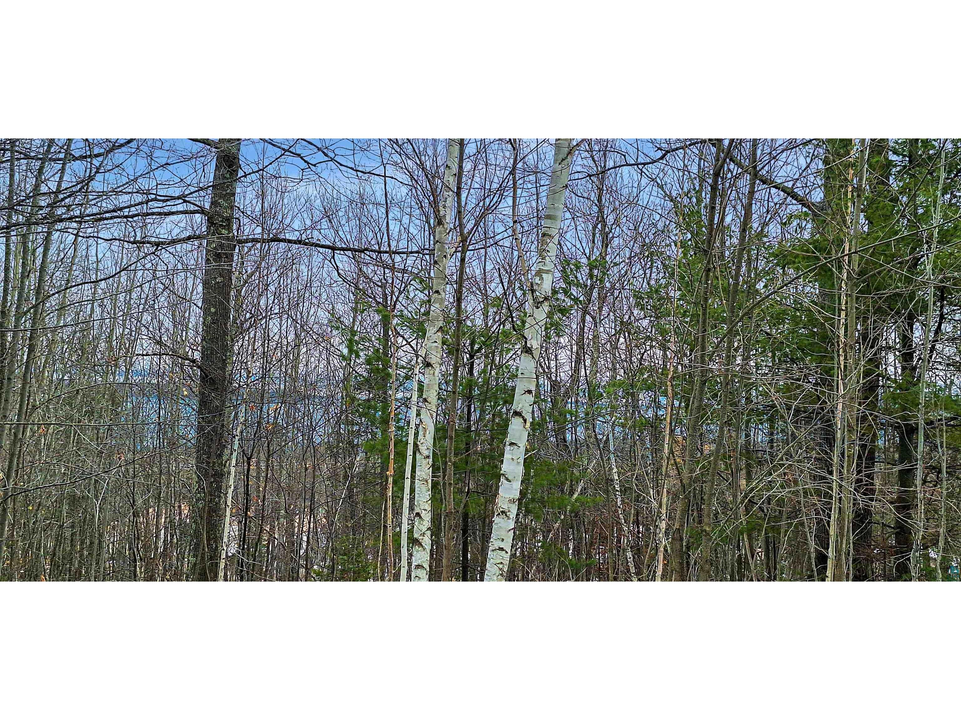 xxx Apple Hill Rd Bayfield WI 54814 6124605 image2