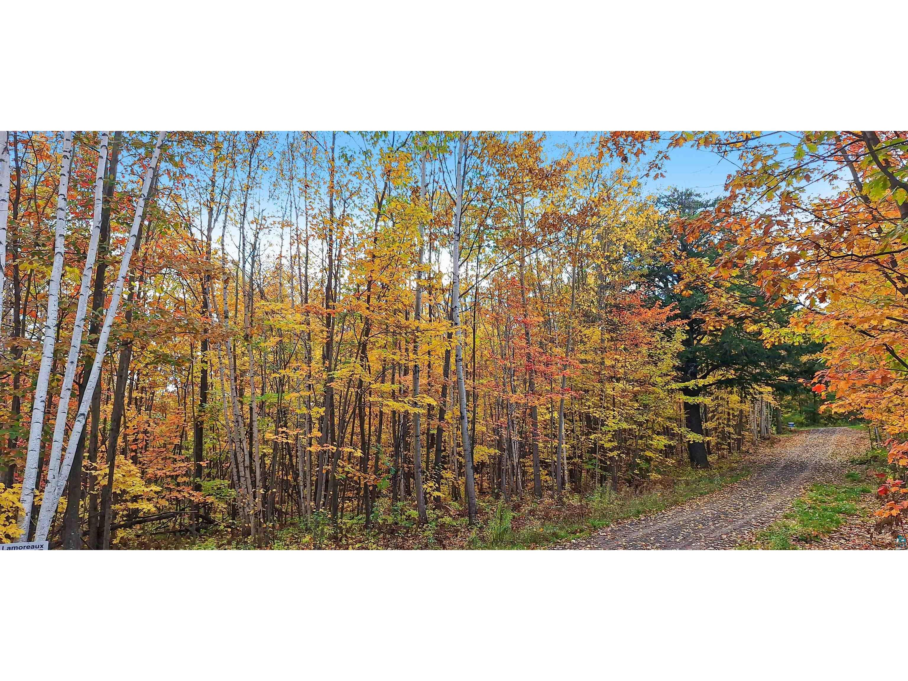 xxx Apple Hill Rd Bayfield WI 54814 6124605 image5