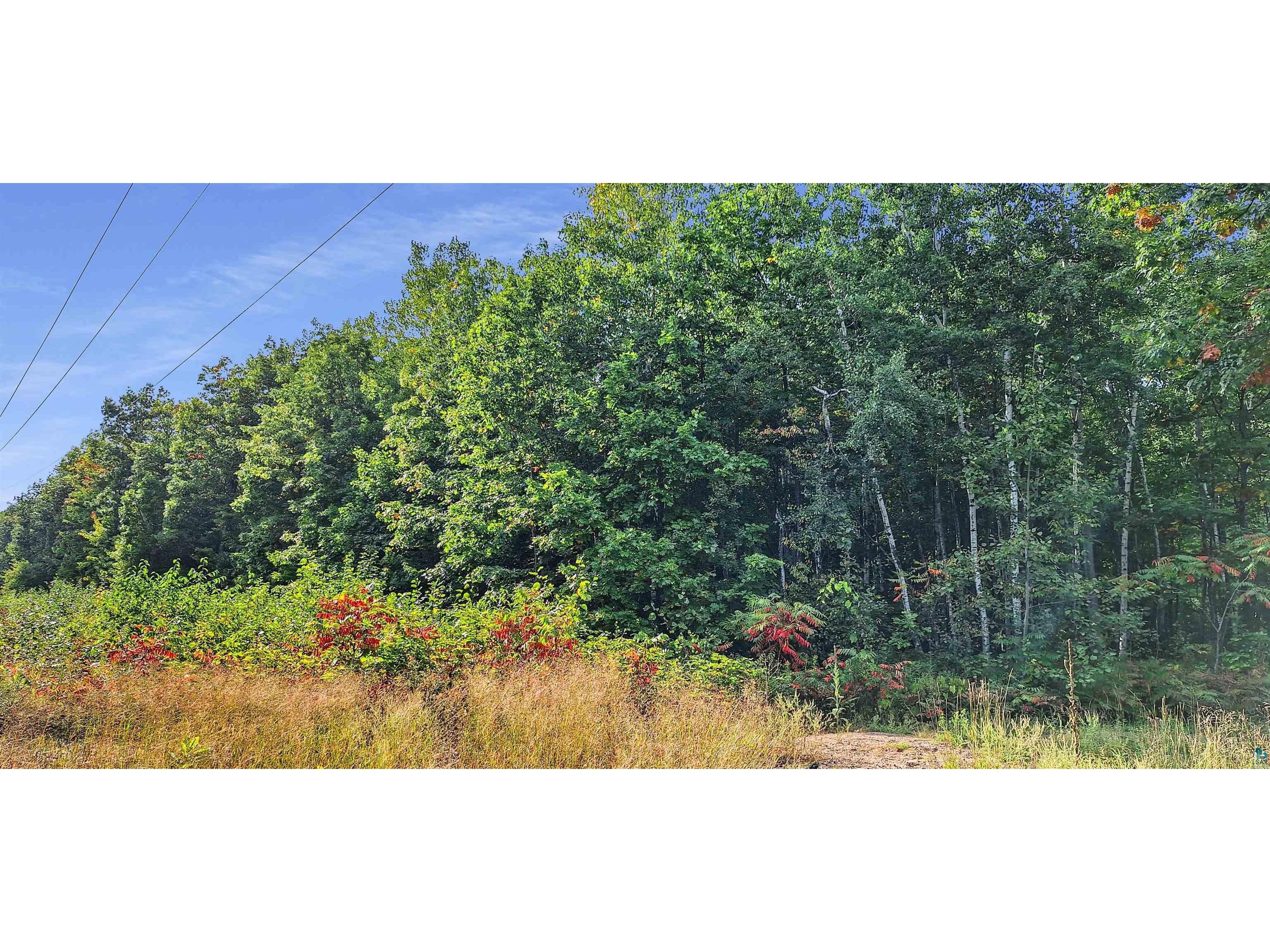 xxx Apple Hill Rd Bayfield WI 54814 6124605 image9