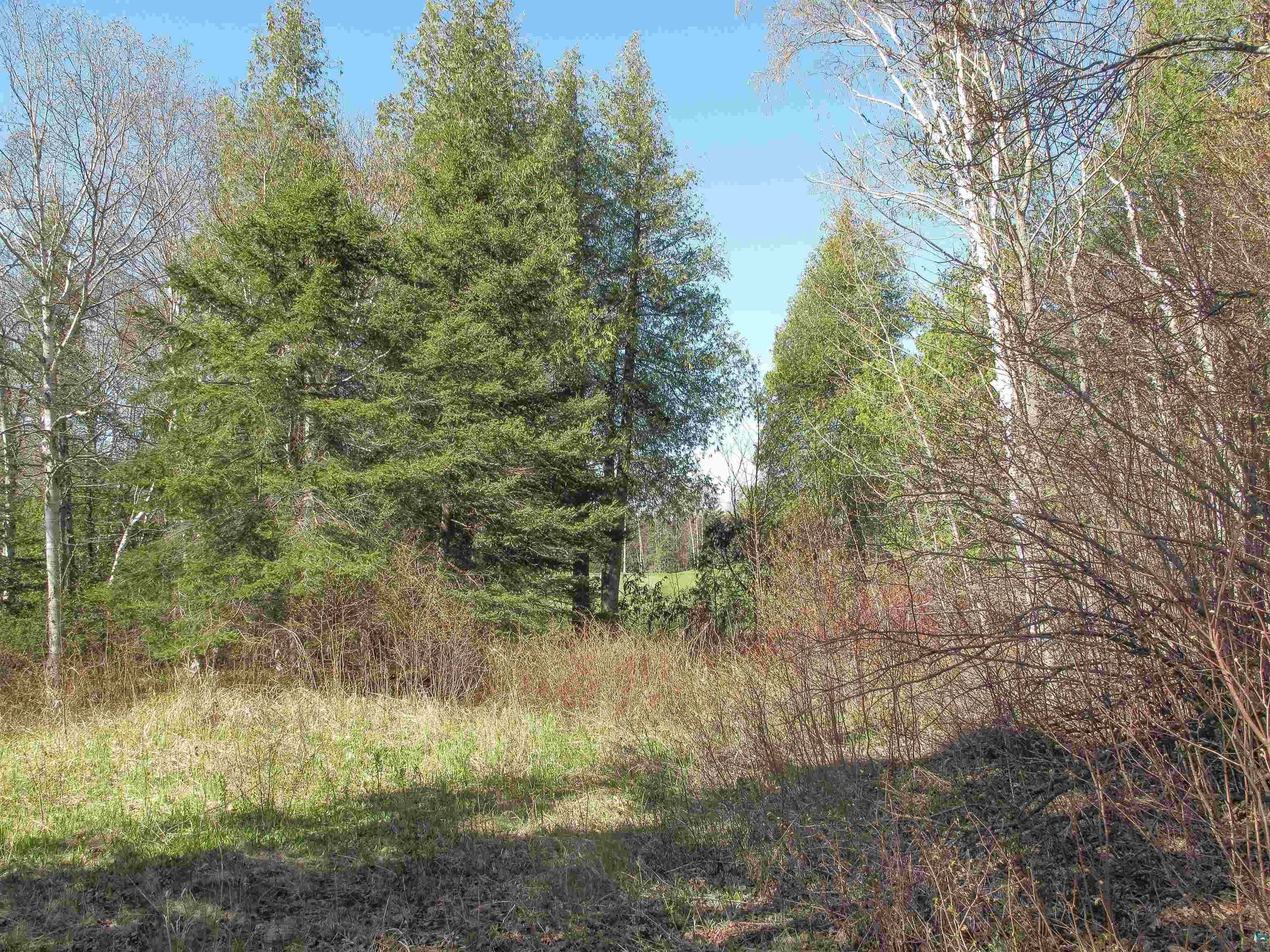 YYY Big Cedar Trl Lutsen MN 55612 6125494 image1
