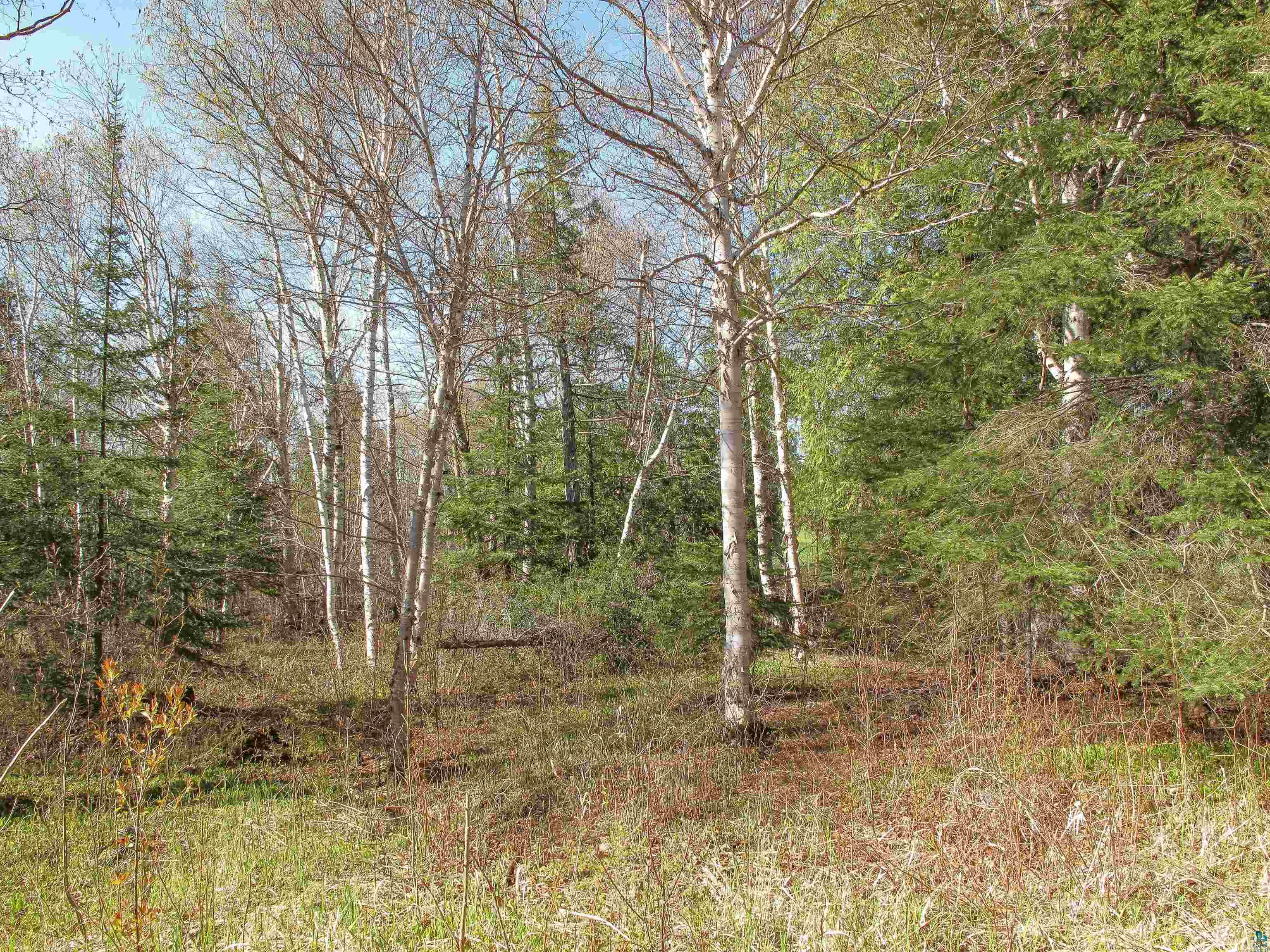 YYY Big Cedar Trl Lutsen MN 55612 6125494 image11