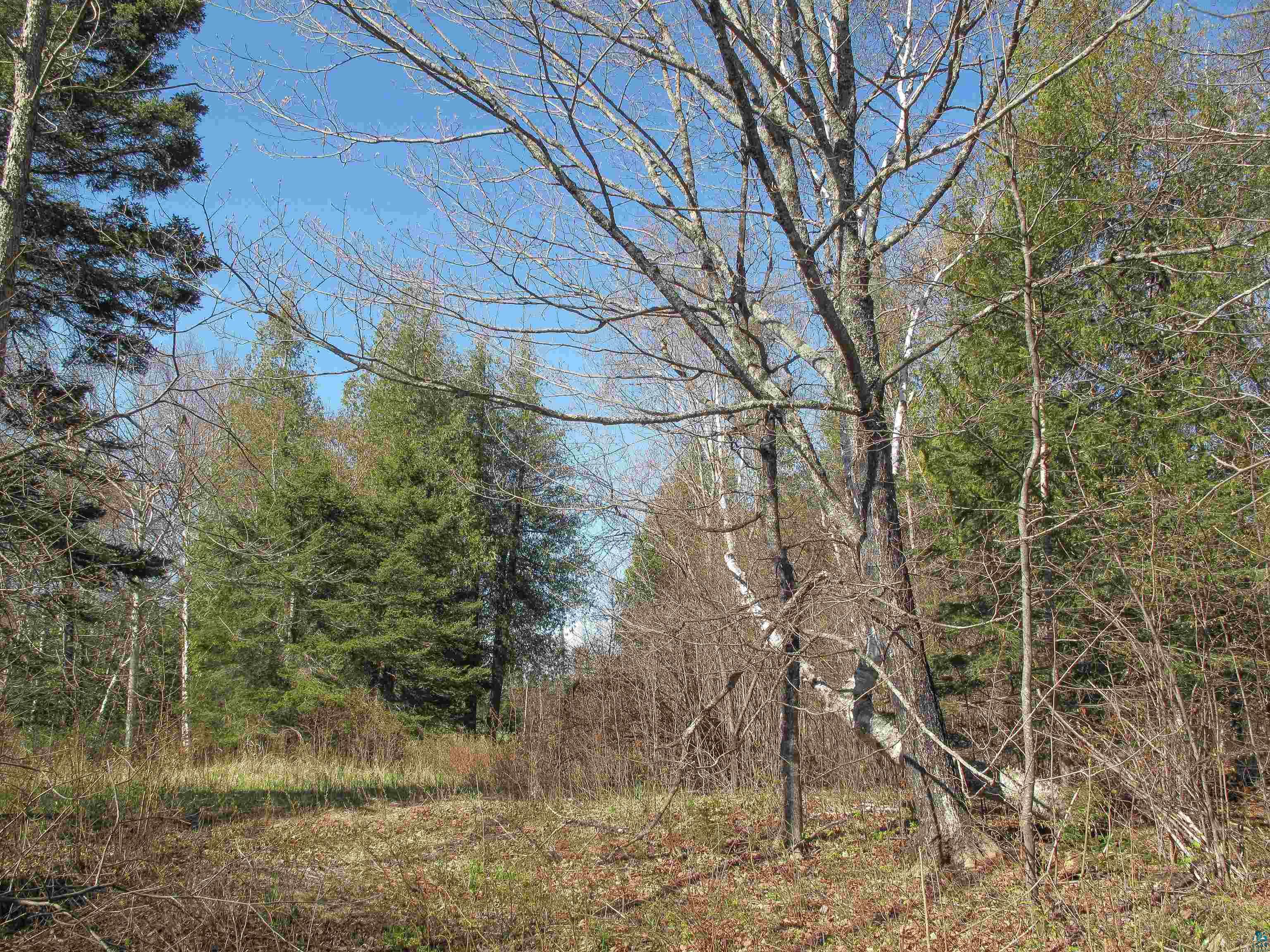 YYY Big Cedar Trl Lutsen MN 55612 6125494 image2