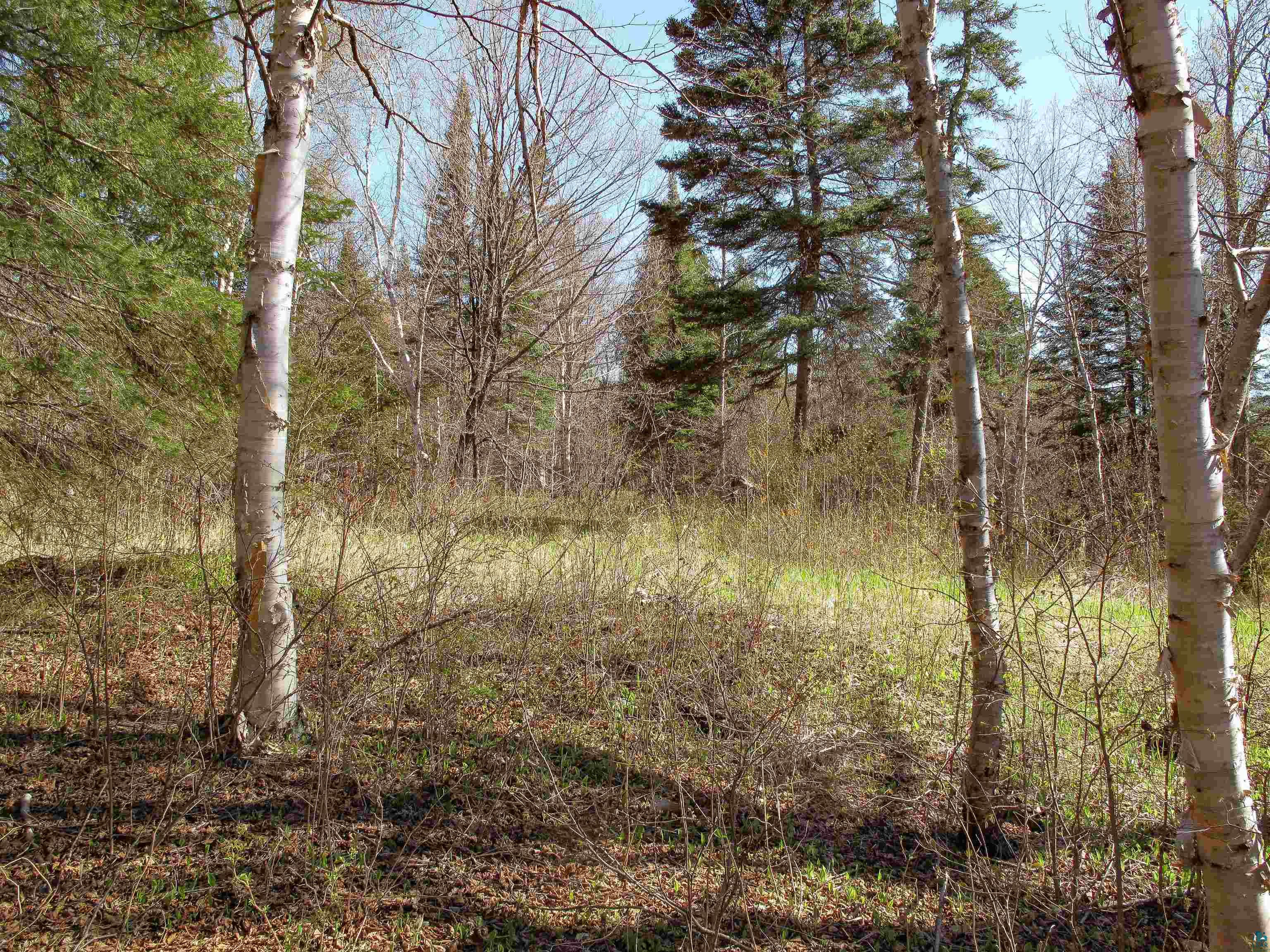YYY Big Cedar Trl Lutsen MN 55612 6125494 image21