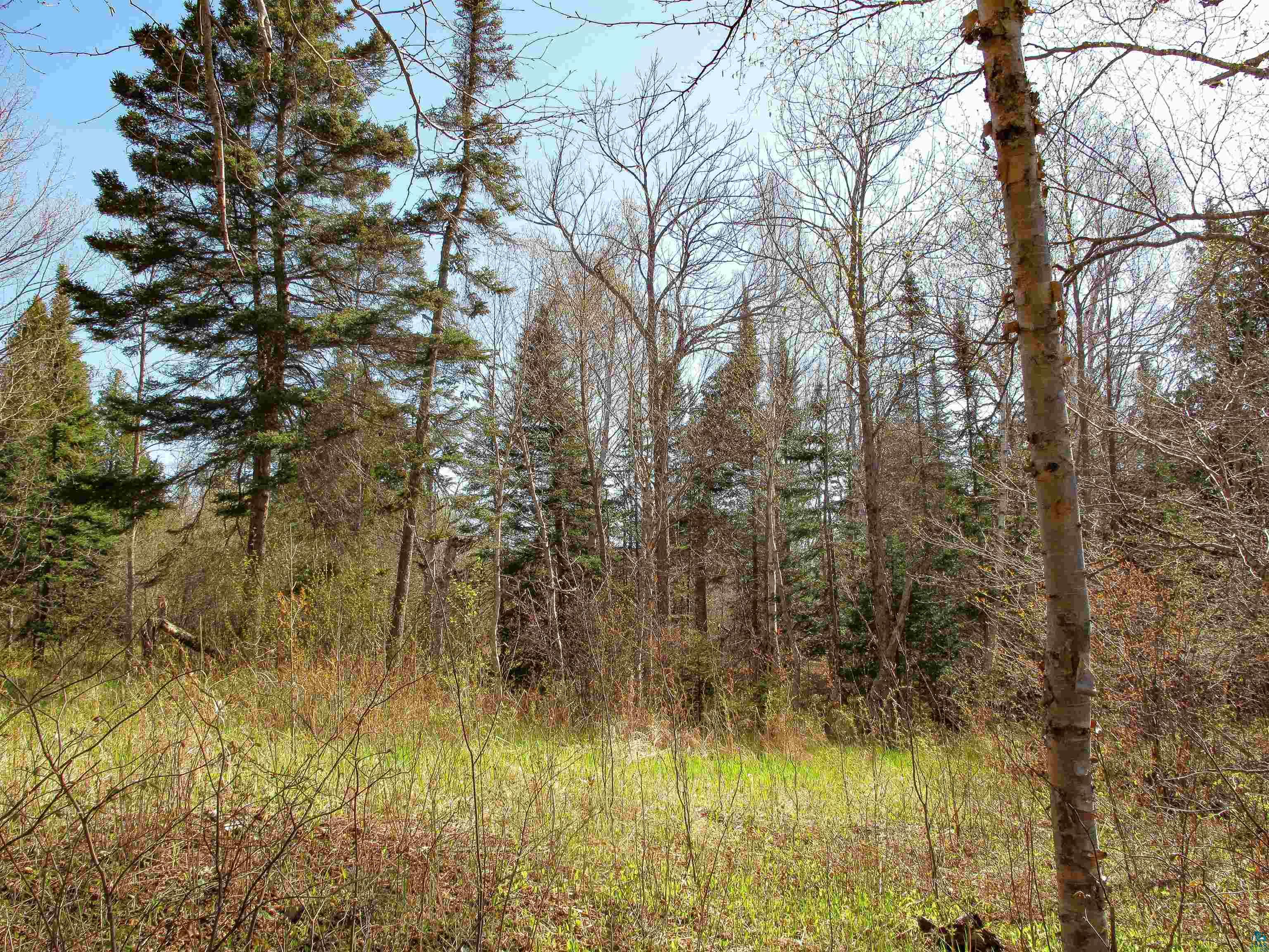 YYY Big Cedar Trl Lutsen MN 55612 6125494 image22
