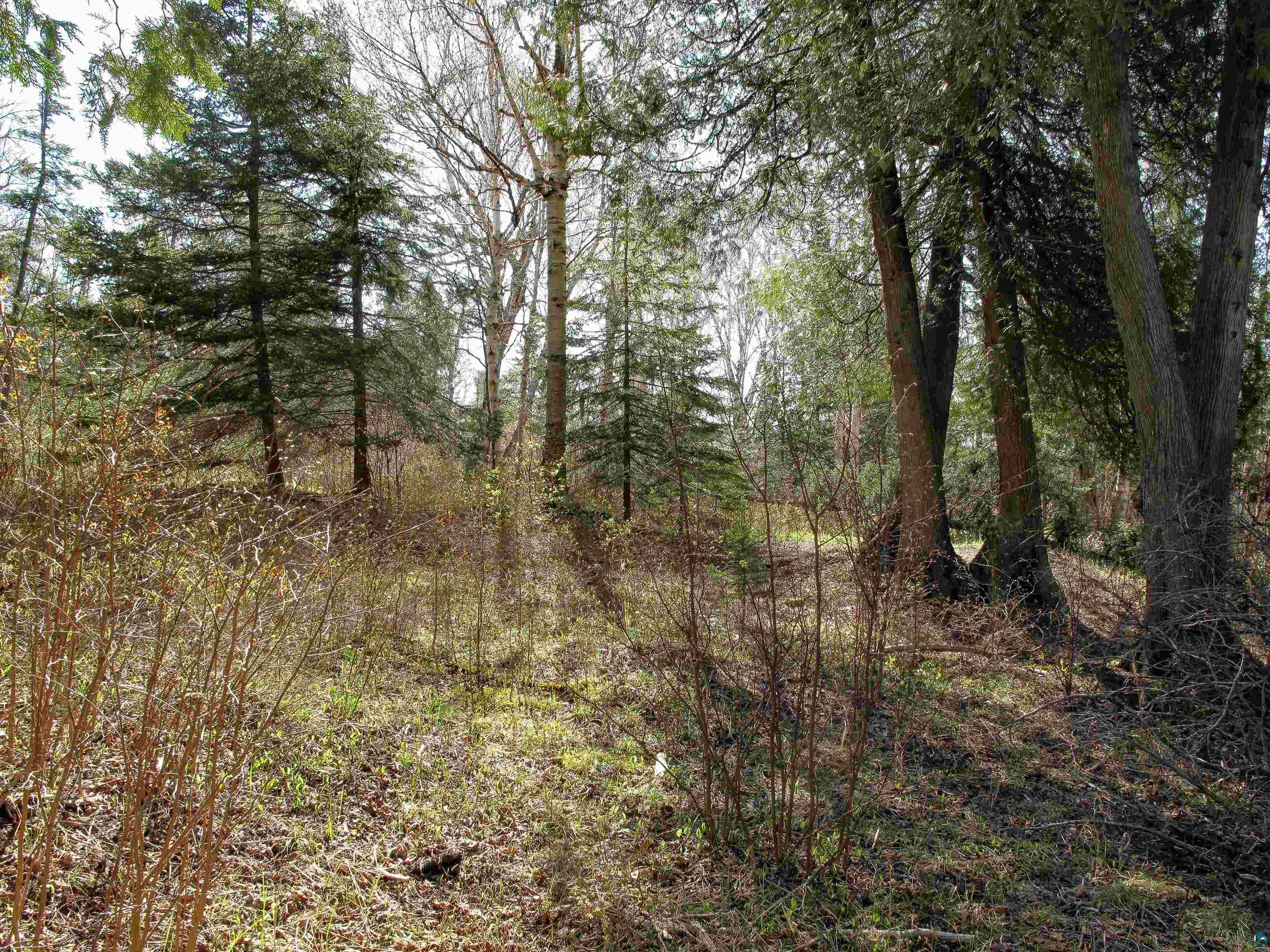 YYY Big Cedar Trl Lutsen MN 55612 6125494 image30