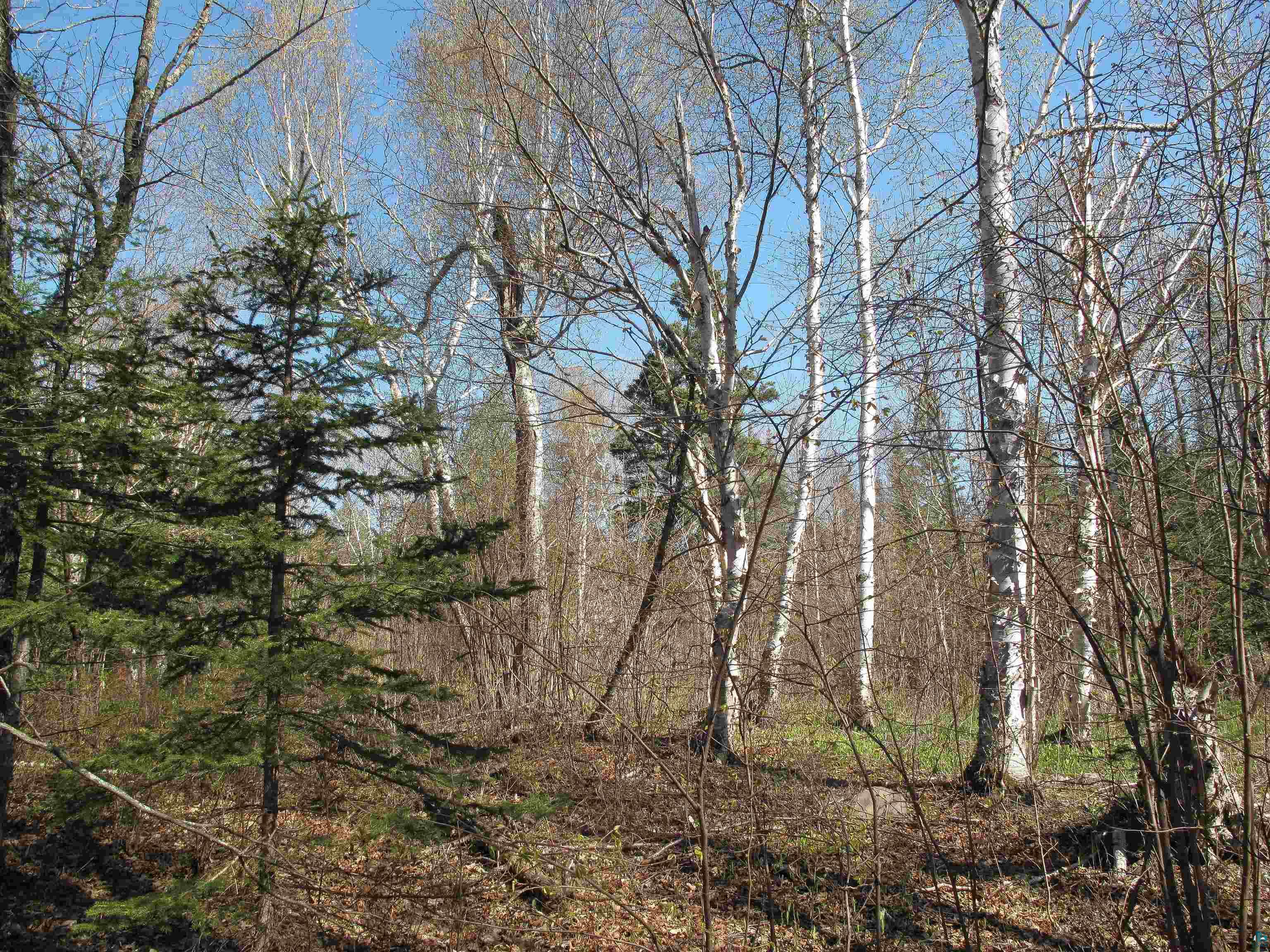 YYY Big Cedar Trl Lutsen MN 55612 6125494 image33