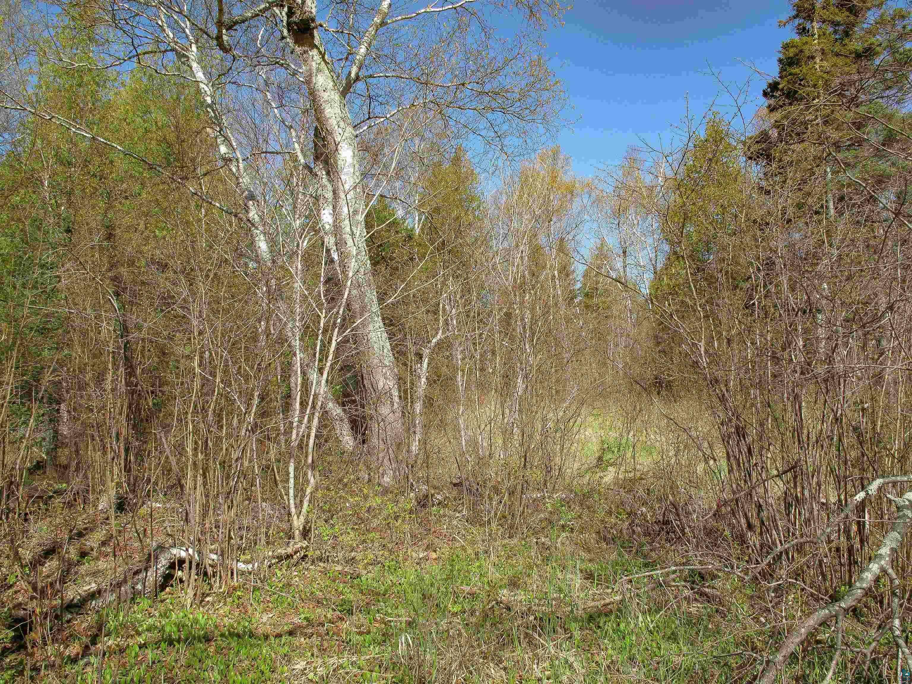 YYY Big Cedar Trl Lutsen MN 55612 6125494 image35