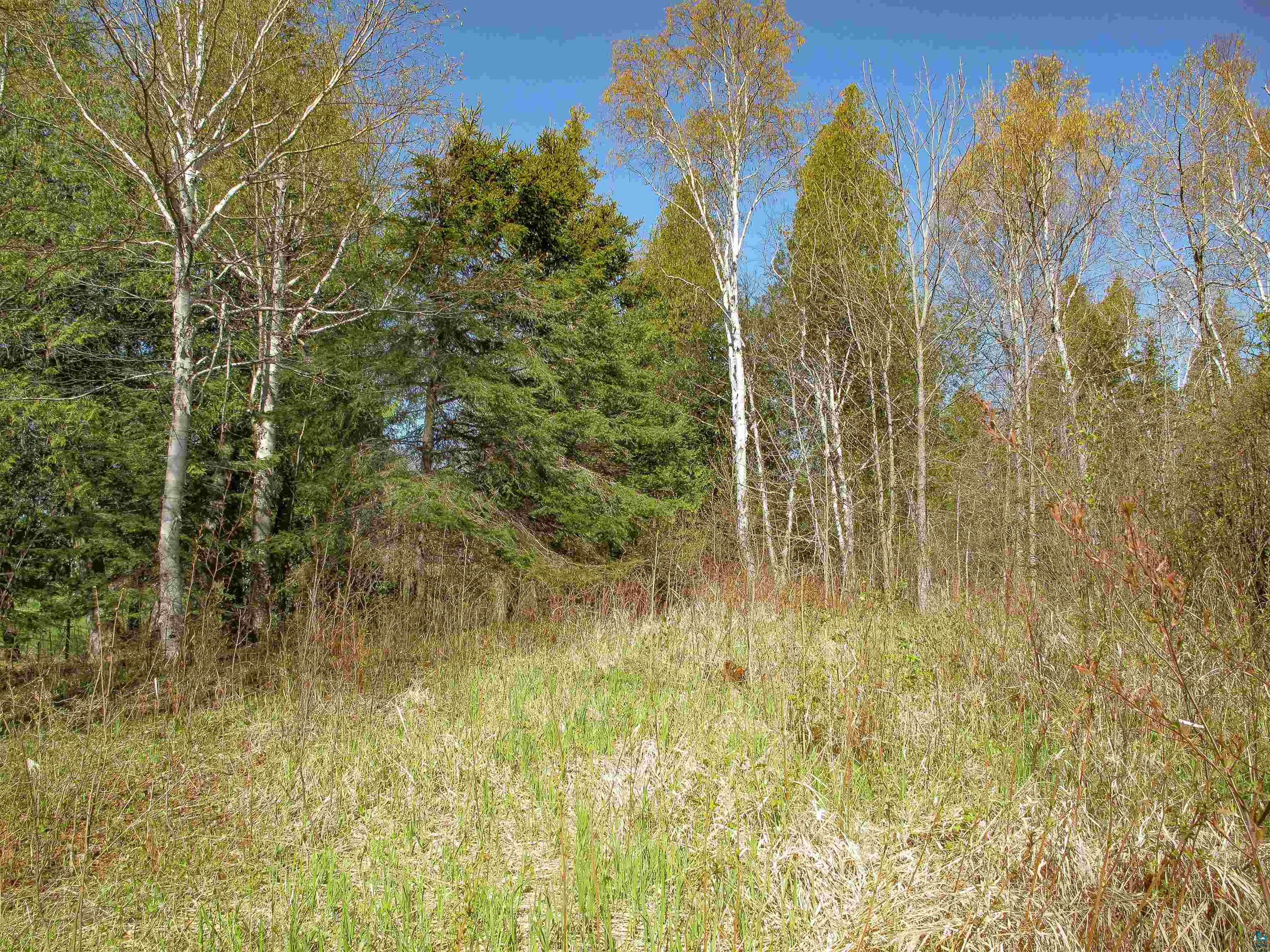 YYY Big Cedar Trl Lutsen MN 55612 6125494 image37