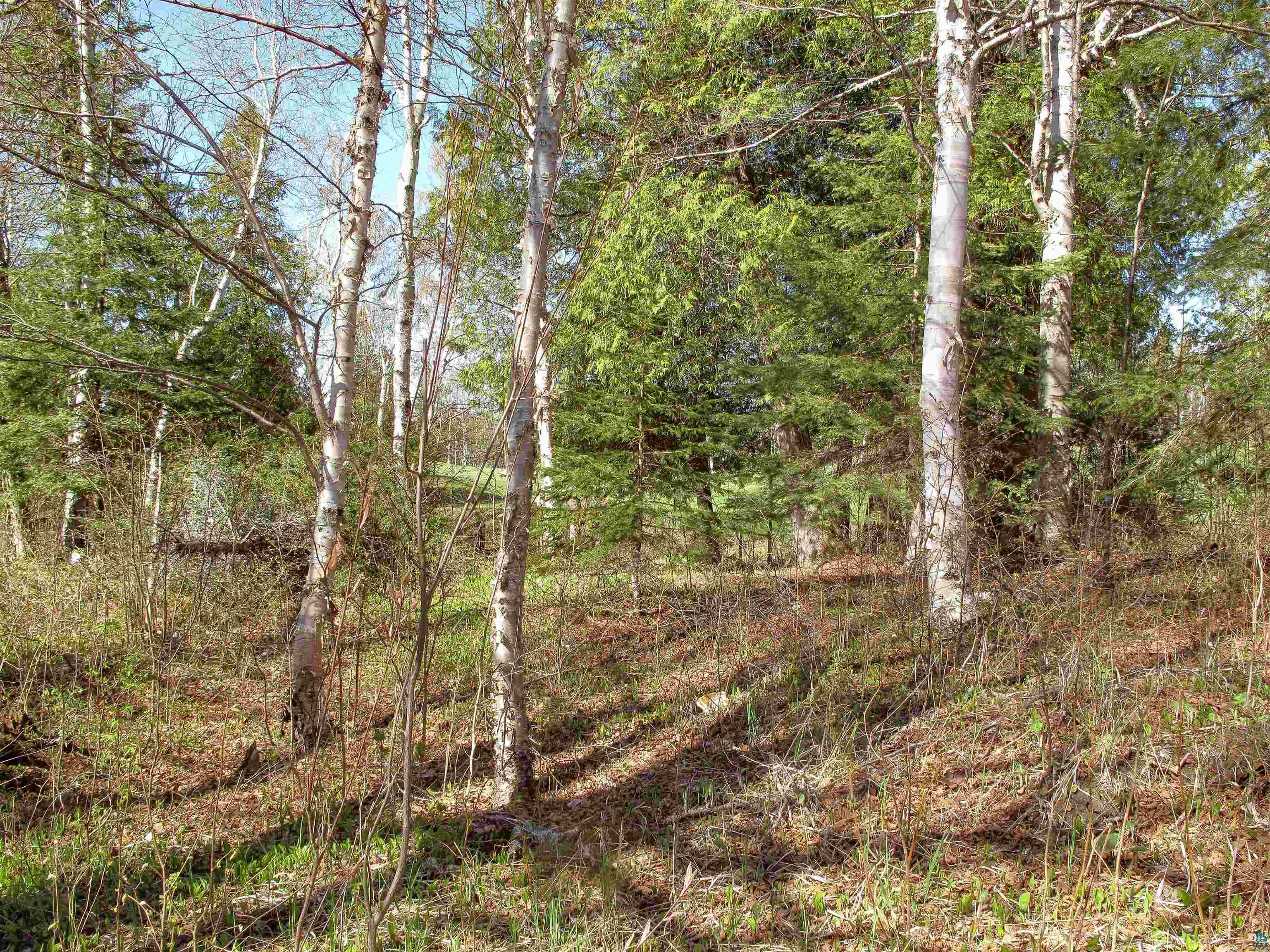YYY Big Cedar Trl Lutsen MN 55612 6125494 image38