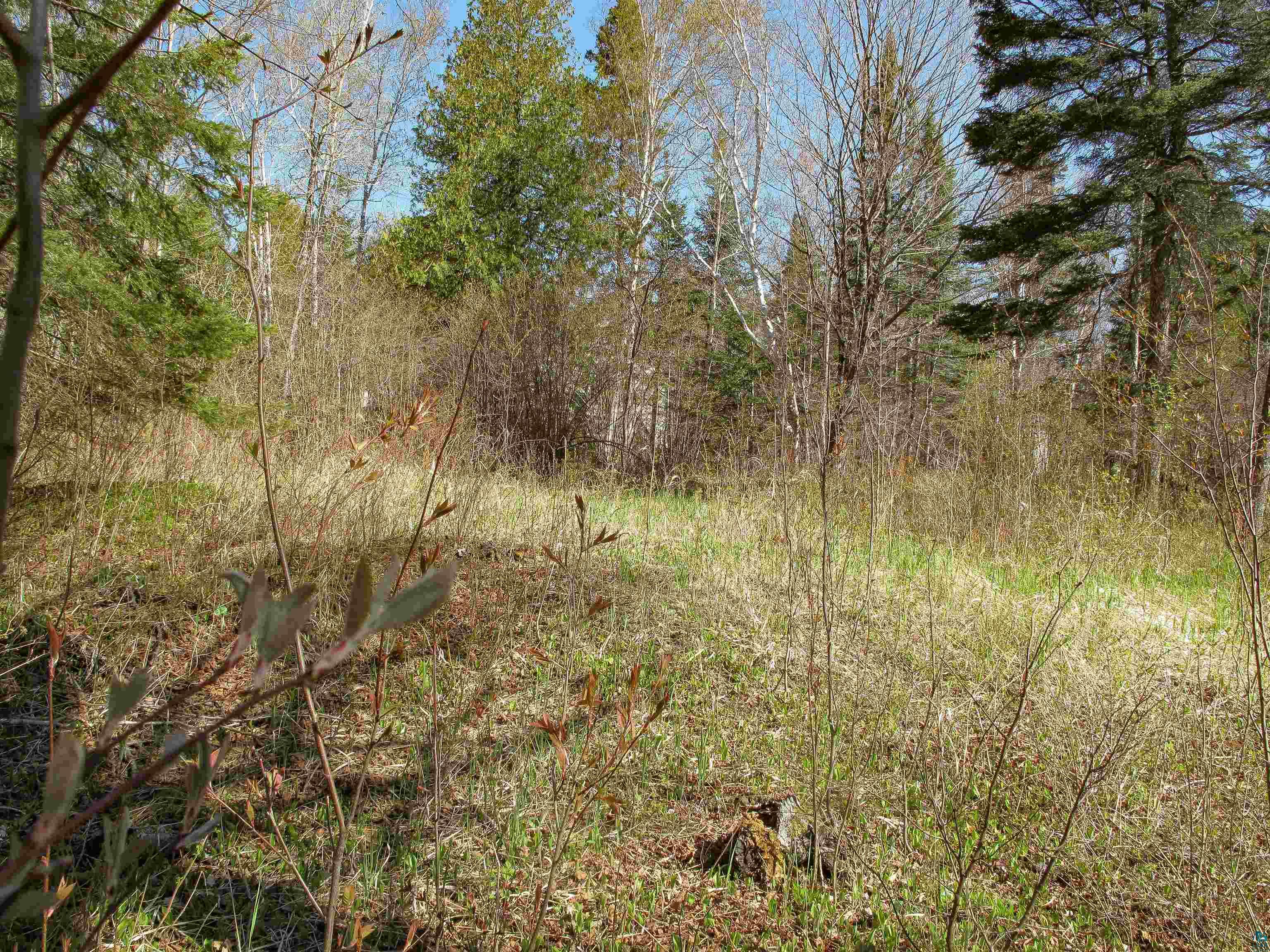 YYY Big Cedar Trl Lutsen MN 55612 6125494 image39